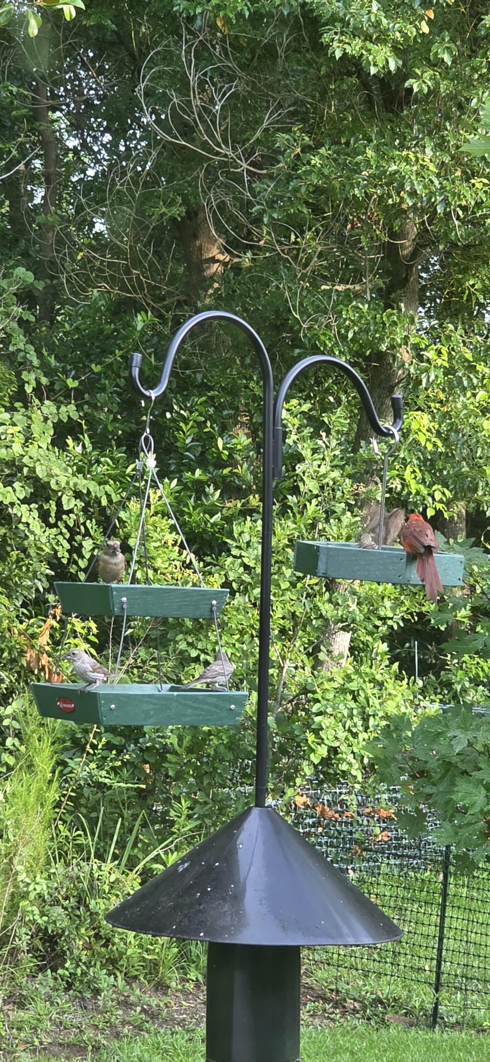 Kingsyard Hanging Platform Bird Feeder for Outdoors, Deep Tray, Brown | Weather-Resistant Recycled Poly Lumber, Fast-Draining Metal Mesh Base, Easy to Clean, Holds Up to 3 lb of Seed customer photo 1