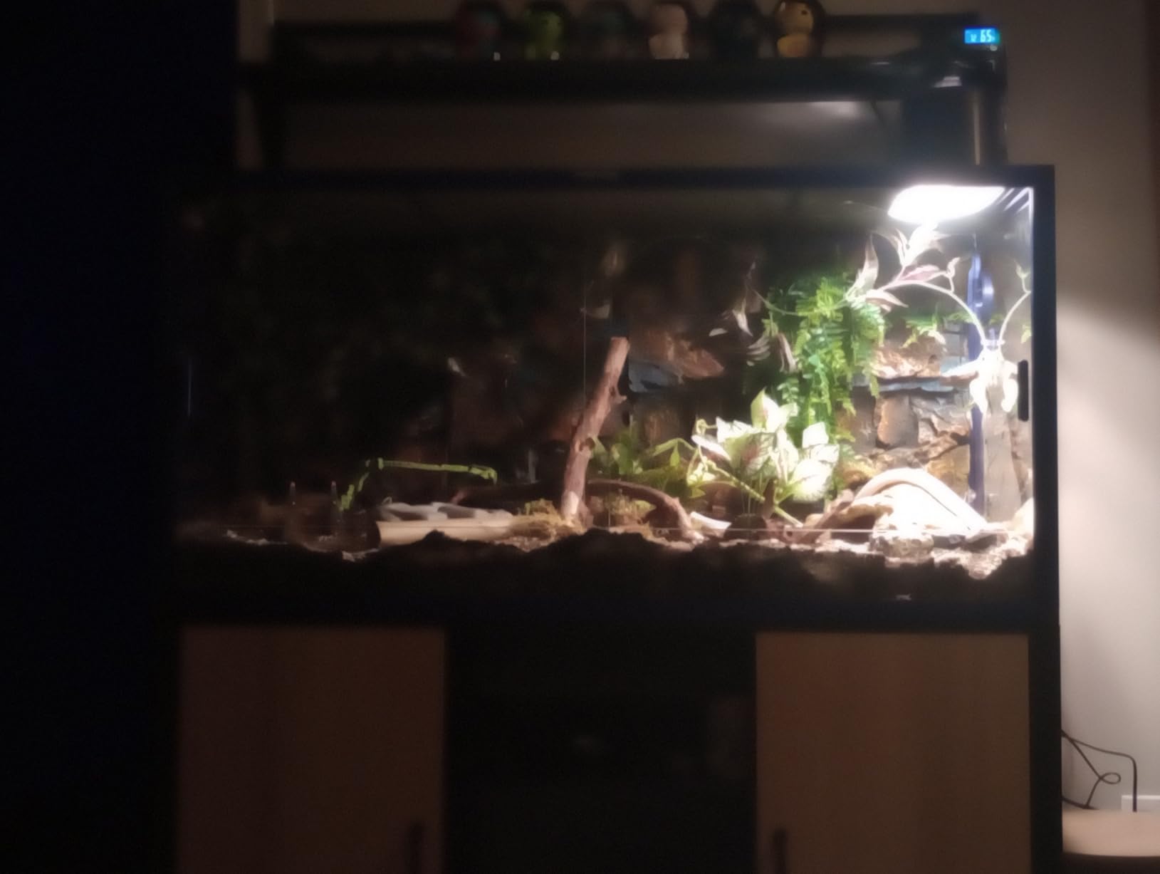 Phailozoo Stackable Reptile Enclosure, 85 Gallon Reptile Tank for Bearded Dragon, Snake, Ball Python, Colorful Aluminum Frame & Front Opening Tempered Glass Door with Handles for Easy Maintenance customer photo 1