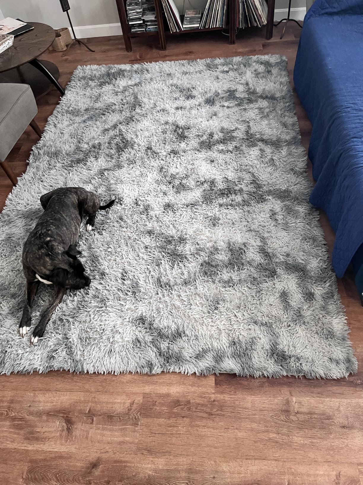 Deerhoo Large Shag Area Rugs 6 x 9, Tie-Dyed Plush Fuzzy Rug for Living Room, Ultra Soft Fluffy Furry Rugs for Bedroom, Indoor Carpet Nursery Rugs for Kids Room Home Decor, Light Grey customer photo 1