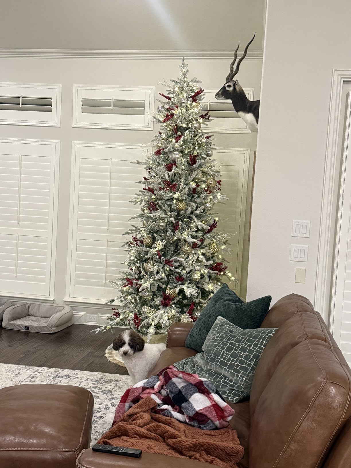 Best Choice Products Lighted Aspen Christmas Tree, 7.5ft Flocked Artifical Noble Fir, Pre-Lit White & Multicolored LED Lights Premium Holiday Décor - Green customer photo 2