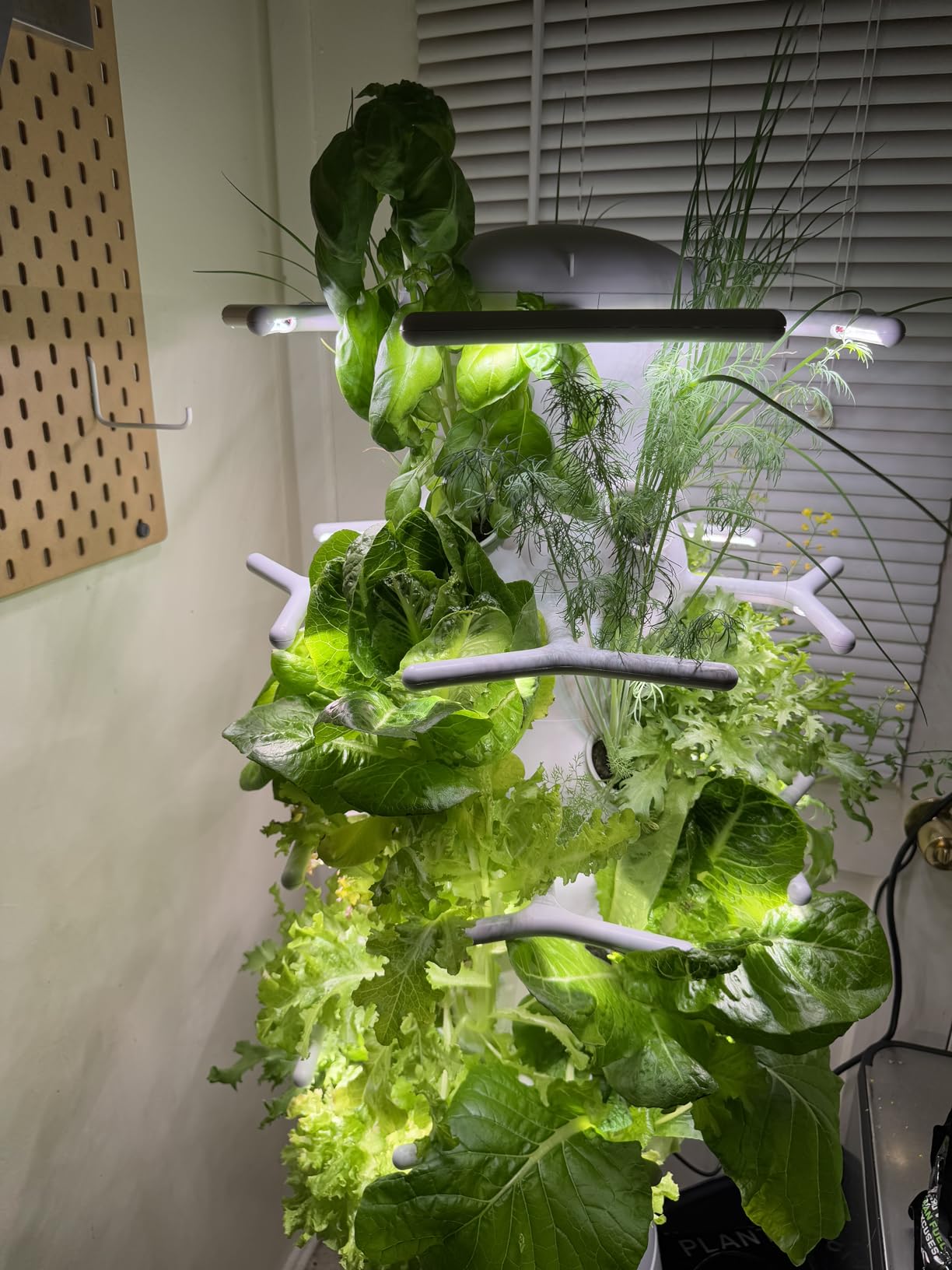 Lettuce Grow Farmstand Nook 4ft.7