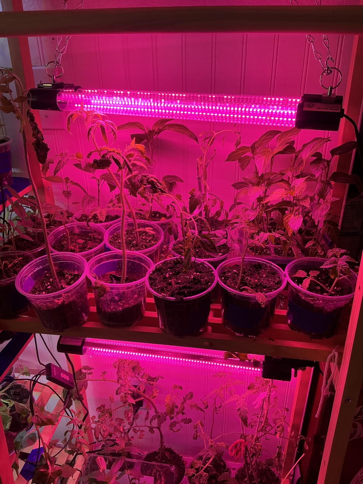 Hlite 16inch LED Grow Lights - Linkable Grow Lights for Indoor Plants, Full Spectrum Plant Lights Plug and Hanging Design with On/Off Switch, Hanging Grow Light from Seedling to Flowering, 4-Pack customer photo 2