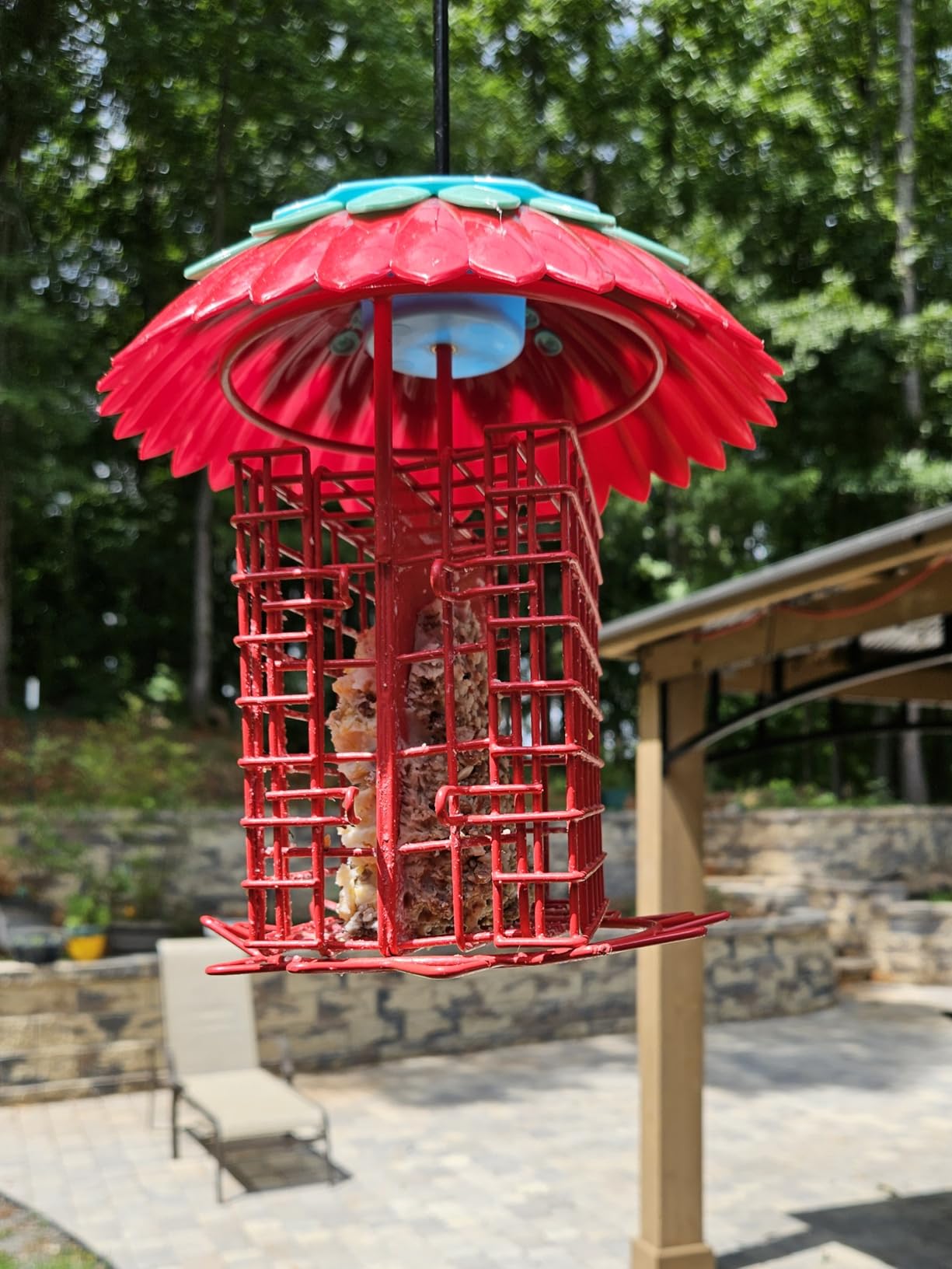 Suet Feeder Double with Weather Guard & Ant Moat, 2 Holders Red customer photo 2