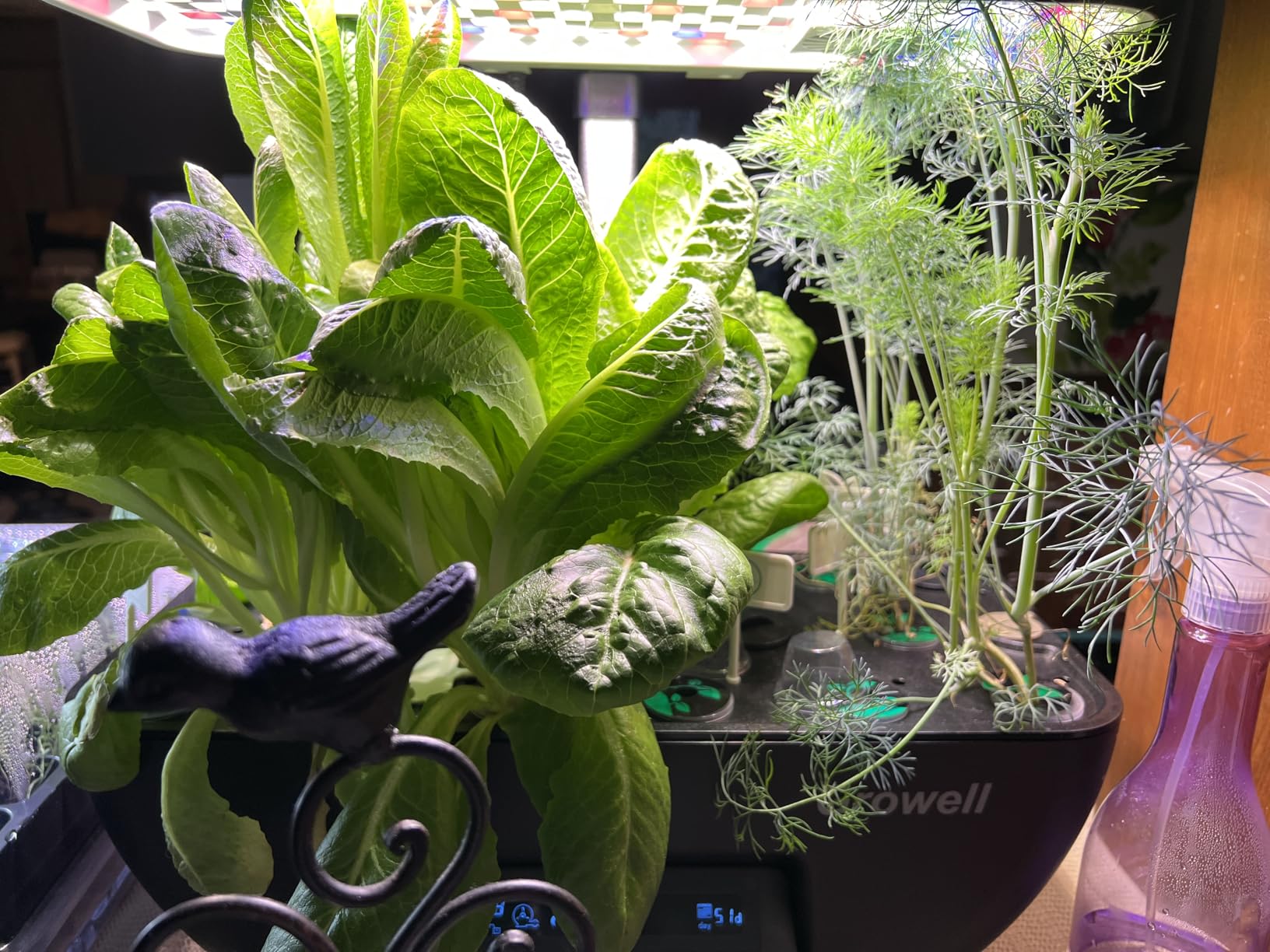 Growell Hydroponics Growing System Kit, 17 Pods Herb Garden with 102 28W Full-Spectrum Grow Lights & 2 Fans, Indoor Garden with Water Pump, 10L Water Tank, Auto Timer, Height Adjustable customer photo 1