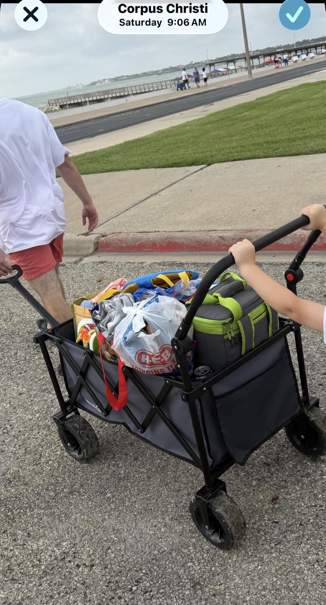 3 in 1 Collapsible Wagon with 300lbs Weight Capacity, 150L Heavy Duty Utility Cart with Removable Canopy, with Big All-Terrain Beach Wheels & Drink Holders, Black customer photo 1
