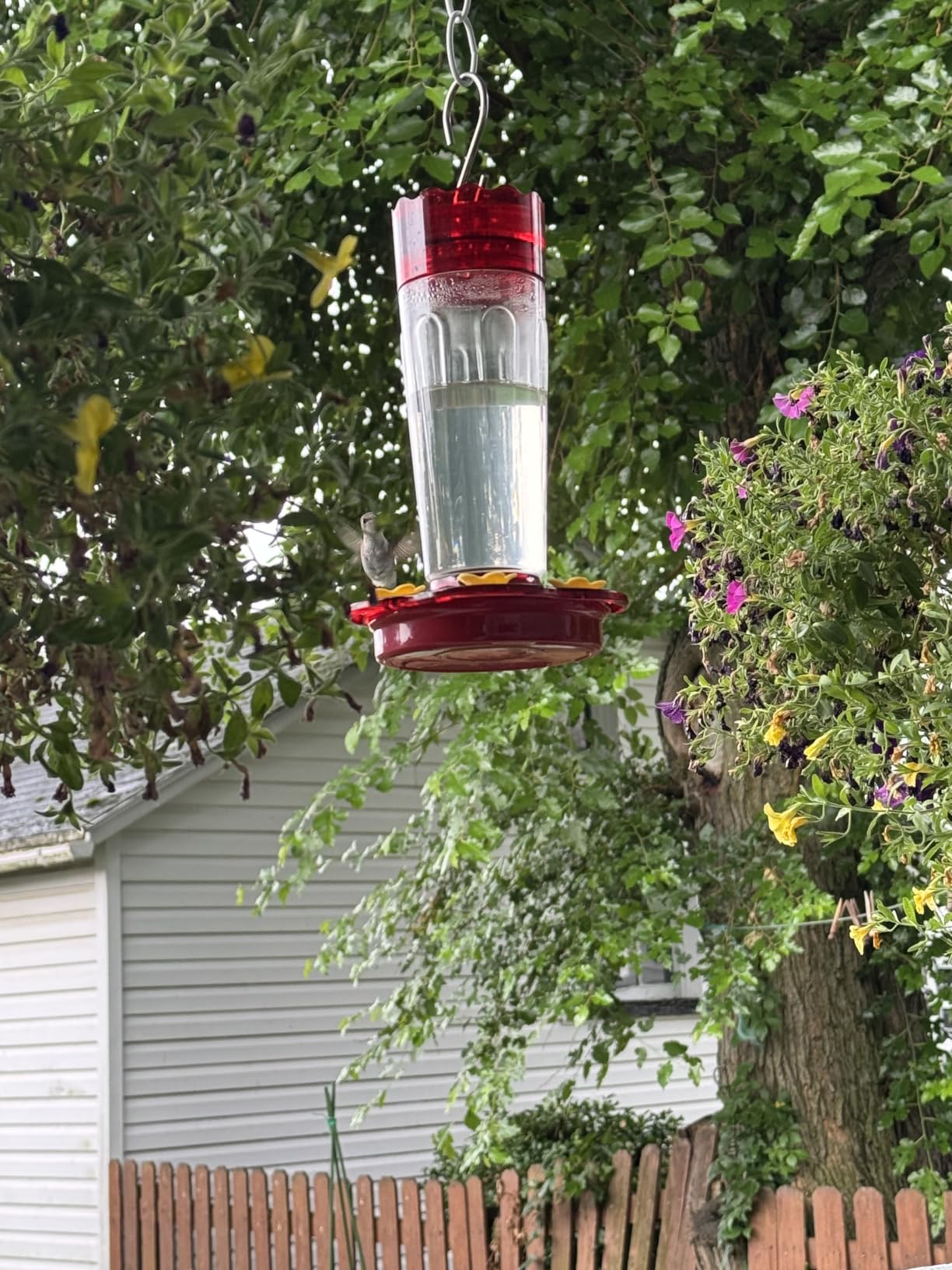 2 Pack Glass Hummingbird feeders for Outdoors 14Ounces，5 Feeding Ports Hummingbird Feeder,Wide Mouth for Easy Filling/Cleaning，Hanging for Garden Backyard Decor, Includes Ant Moat (Red，2Pack) customer photo 2