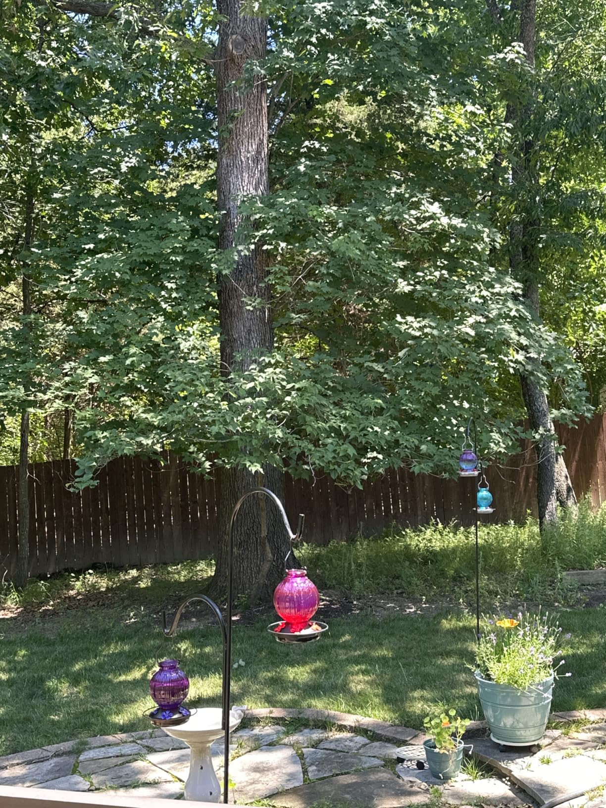 Glass Hummingbird Feeder for Outdoors Hanging, 26Oz Bird Nectar Feeder with Perch & 5 Flower Feeding Ports, Leak Proof for Outside Garden Decor Backyard, Gifts for Women Mom, Red customer photo 2