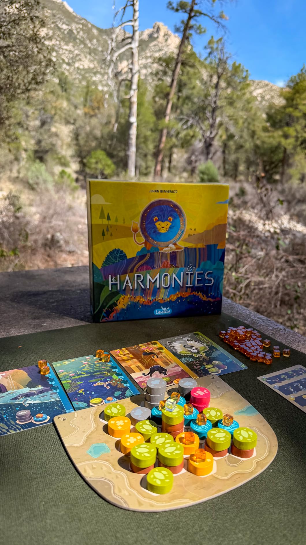 Asmodee Harmonies Board Game - Create Oneiric Landscapes, Strategic & Poetic Gameplay, Fun Family Game for Kids & Adults, Ages 10+, 1-4 Players, 30 Min Playtime customer photo 1