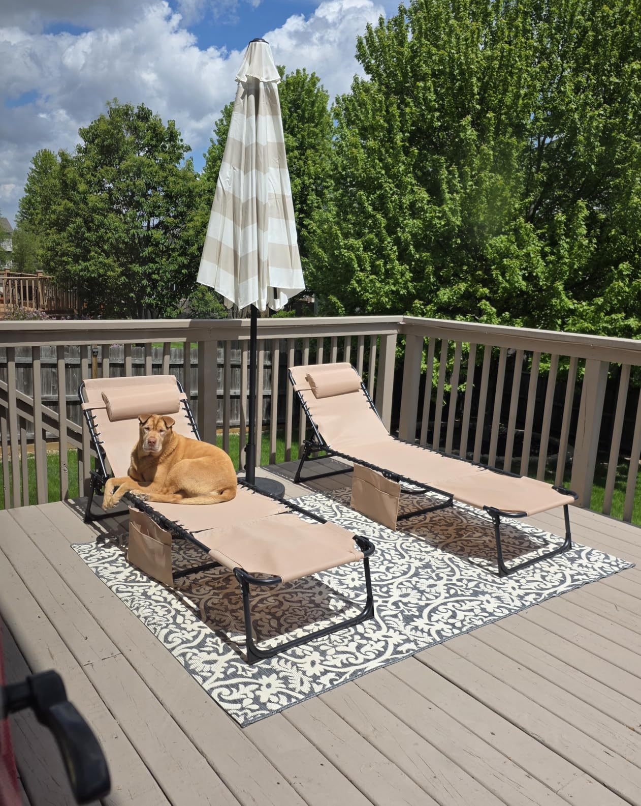 Flamaker Face Down Chaise Lounge Chair 5-Position Adjustable Sunbathing, Foldable Tanning Chair with Face& Arm Holes, Outdoor Recliner Chair for Pool, Beach, Patio, Lawn (Beige, 1 Pcs) customer photo 1