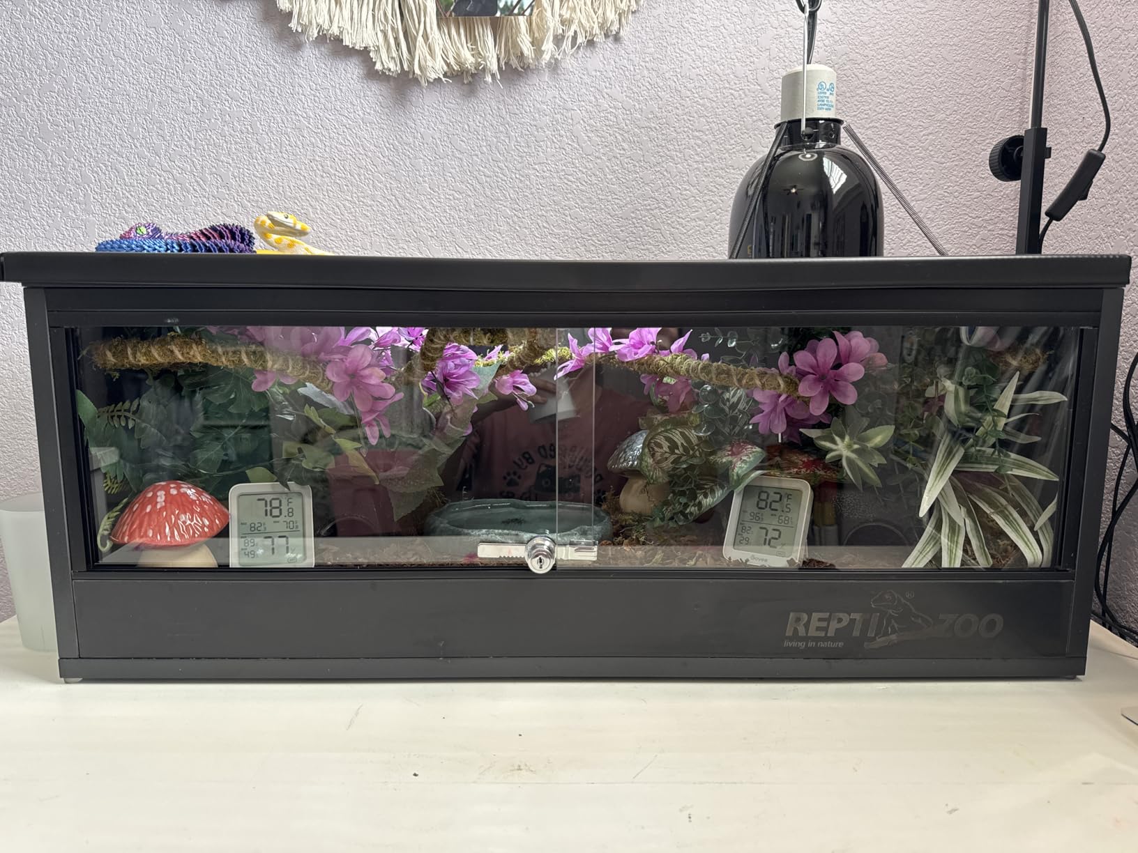 REPTI ZOO 20 Gallon PVC Reptile Tank, 30x12x12 inch Reptile Terrarium for Crested Gecko Frog Lizard Snake Turtle Hermit Crab, Leopard Gecko Enclosure with Sliding Door & Screen Ventilation customer photo 2