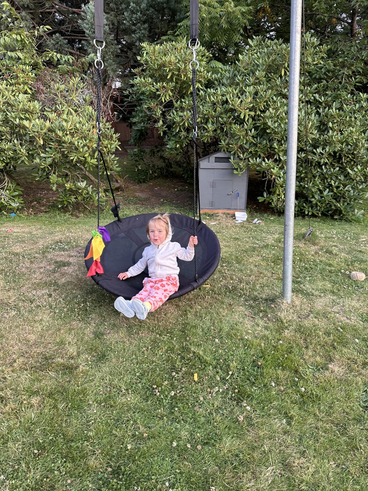 40 Inch Saucer Swing for Kids, Outdoor Tree Swing with Straps for Backyard | Galvanized Steel Frame, Foam-Padded Edge, 2 x 5ft Tree Straps, Adjustable Ropes, Carabiners and Wide Seat for Backyard Setup customer photo 2