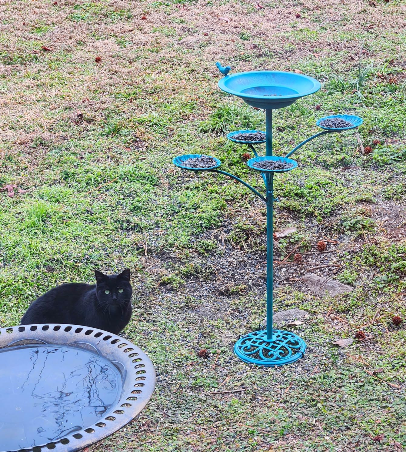 HOUYANG Solar Fountain Bird Bath, Metal Bird Bath Bubbler, Outdoor Bird Bath Bowl, for Outdoors Garden Patio Decor. customer photo 2