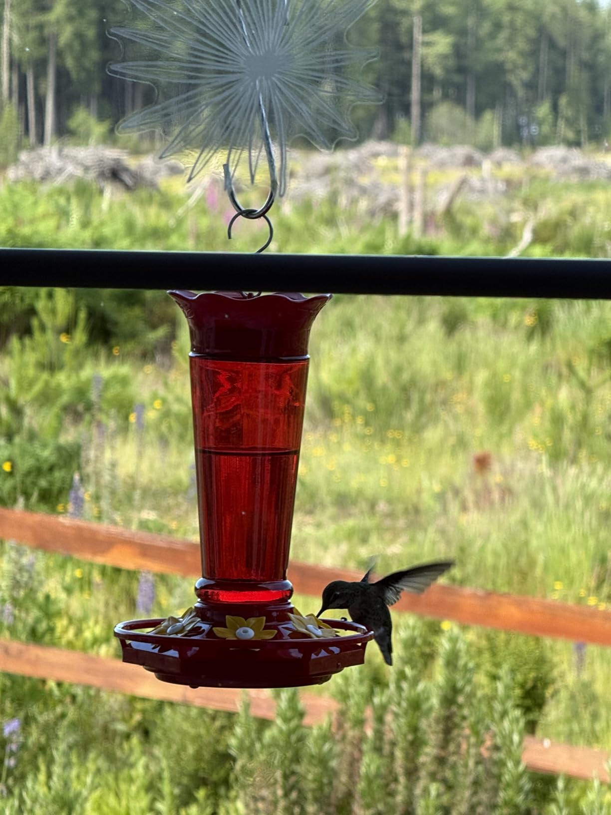 Gbekery 10 OZ Glass Hummingbird Feeders for Outdoors Hanging - Red 2 Pack, Ant & Bee Proof and 6 Feeding Ports, Garden Yard Décor Gifts for Mom customer photo 2