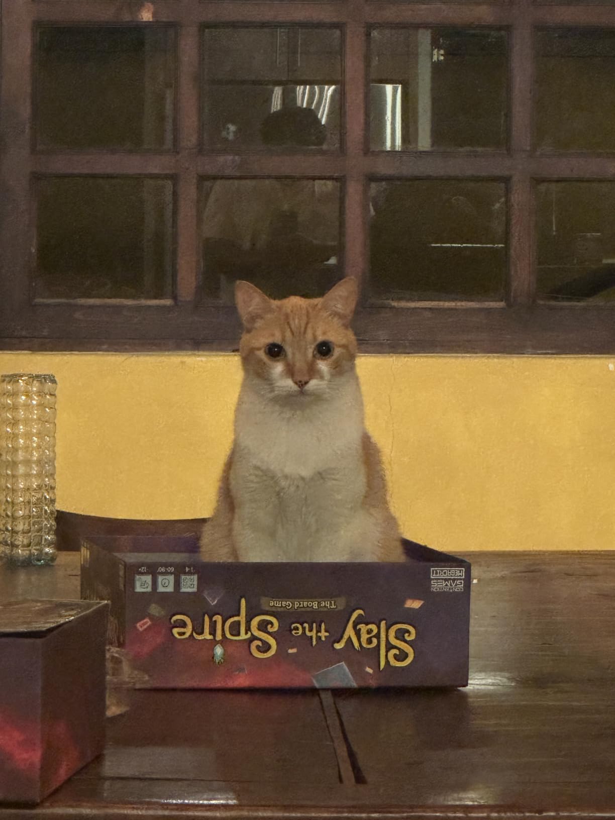 Slay The Spire: The Board Game - Cooperative Fantasy Board Game customer photo 1