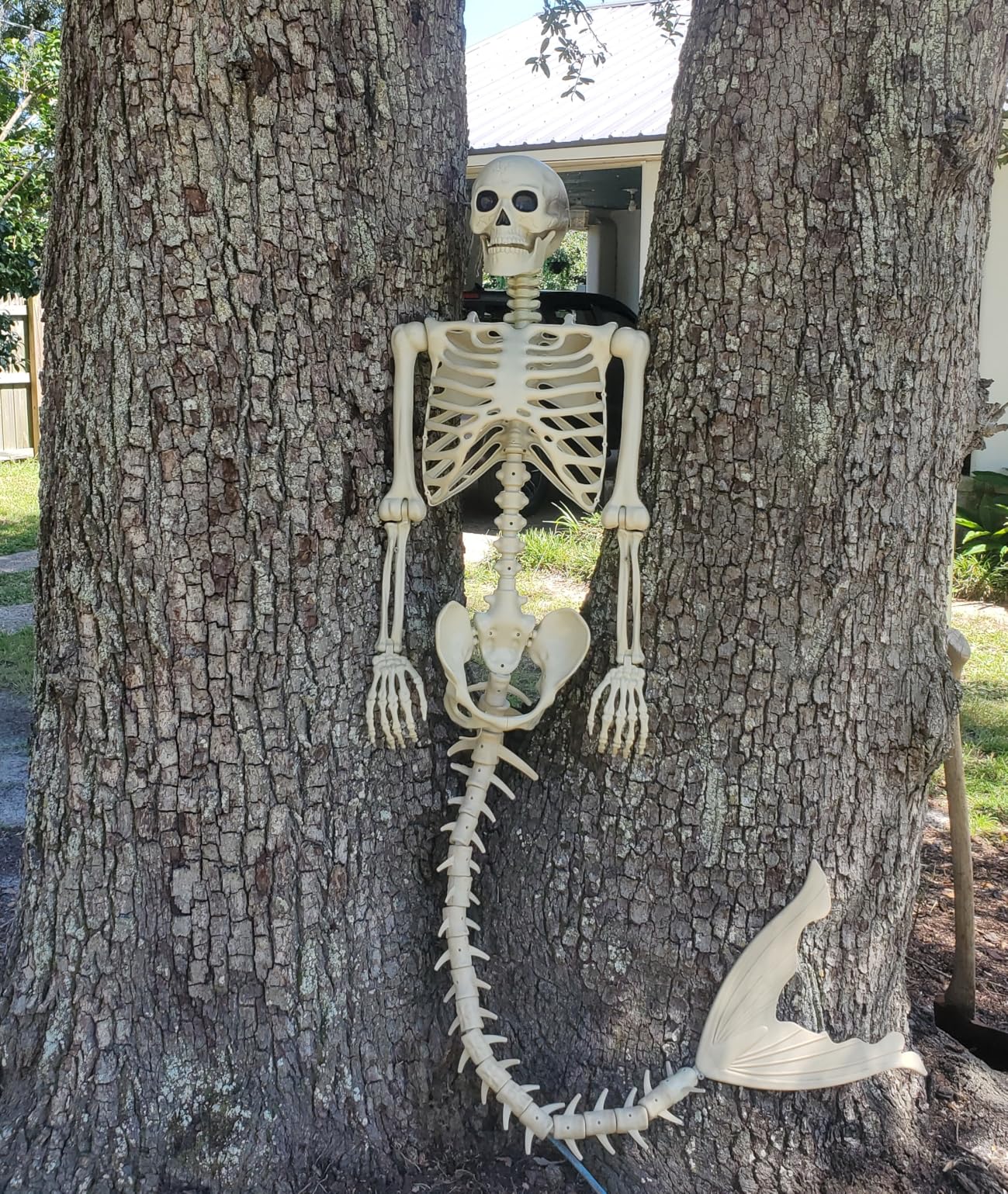 84Inches/7Ft Mermaid Halloween Life Size Skeleton Pose-N-Stay Posable Movable Joints Hanging for Halloween Decoration Decor Spooky Scene Party Favors customer photo 2