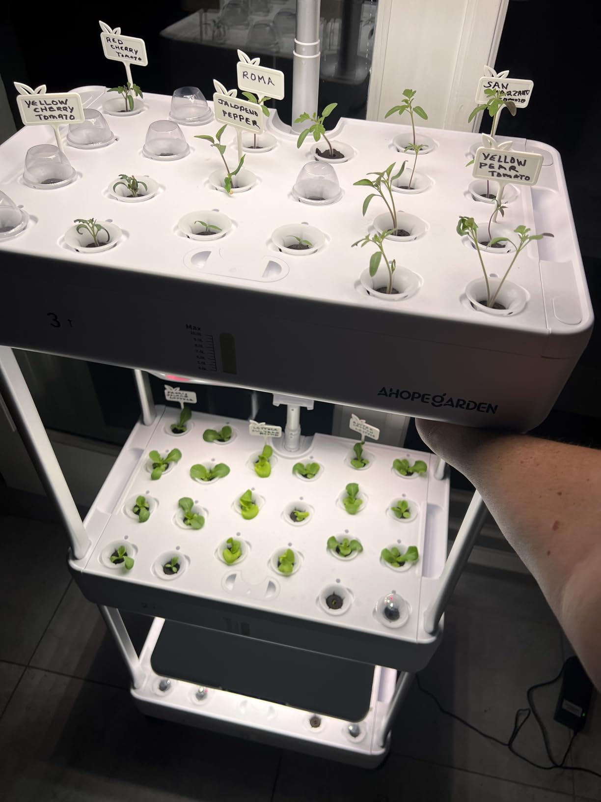 Ahopegarden Indoor Garden Hydroponics Growing System Kit: 66 Pods Plant Herb Garden Germination Kit with LED Grow Light, 30L Large Capacity Kitchen Hydroponics Planter Grower customer photo 1