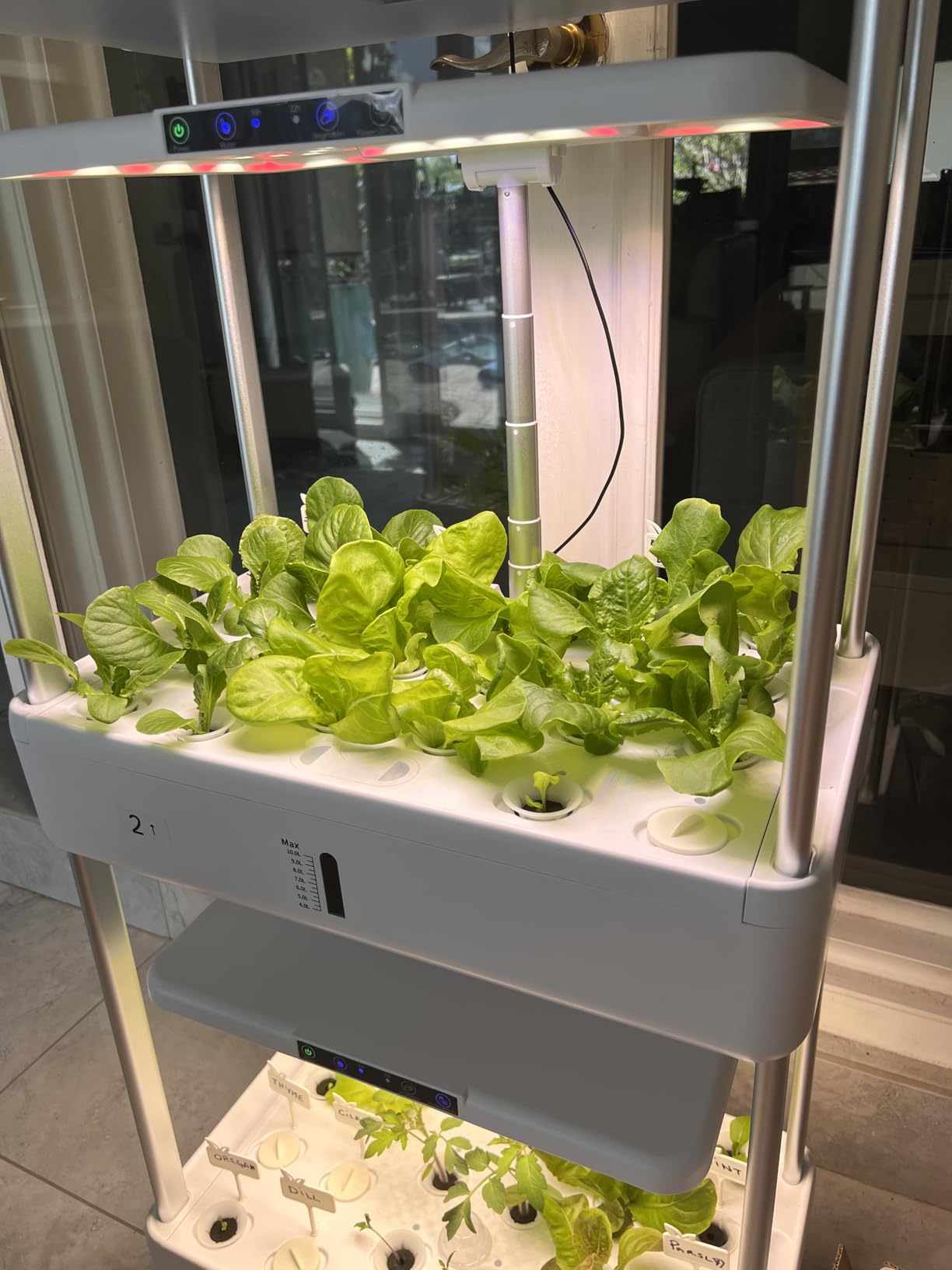 Ahopegarden Indoor Garden Hydroponics Growing System Kit: 66 Pods Plant Herb Garden Germination Kit with LED Grow Light, 30L Large Capacity Kitchen Hydroponics Planter Grower customer photo 2