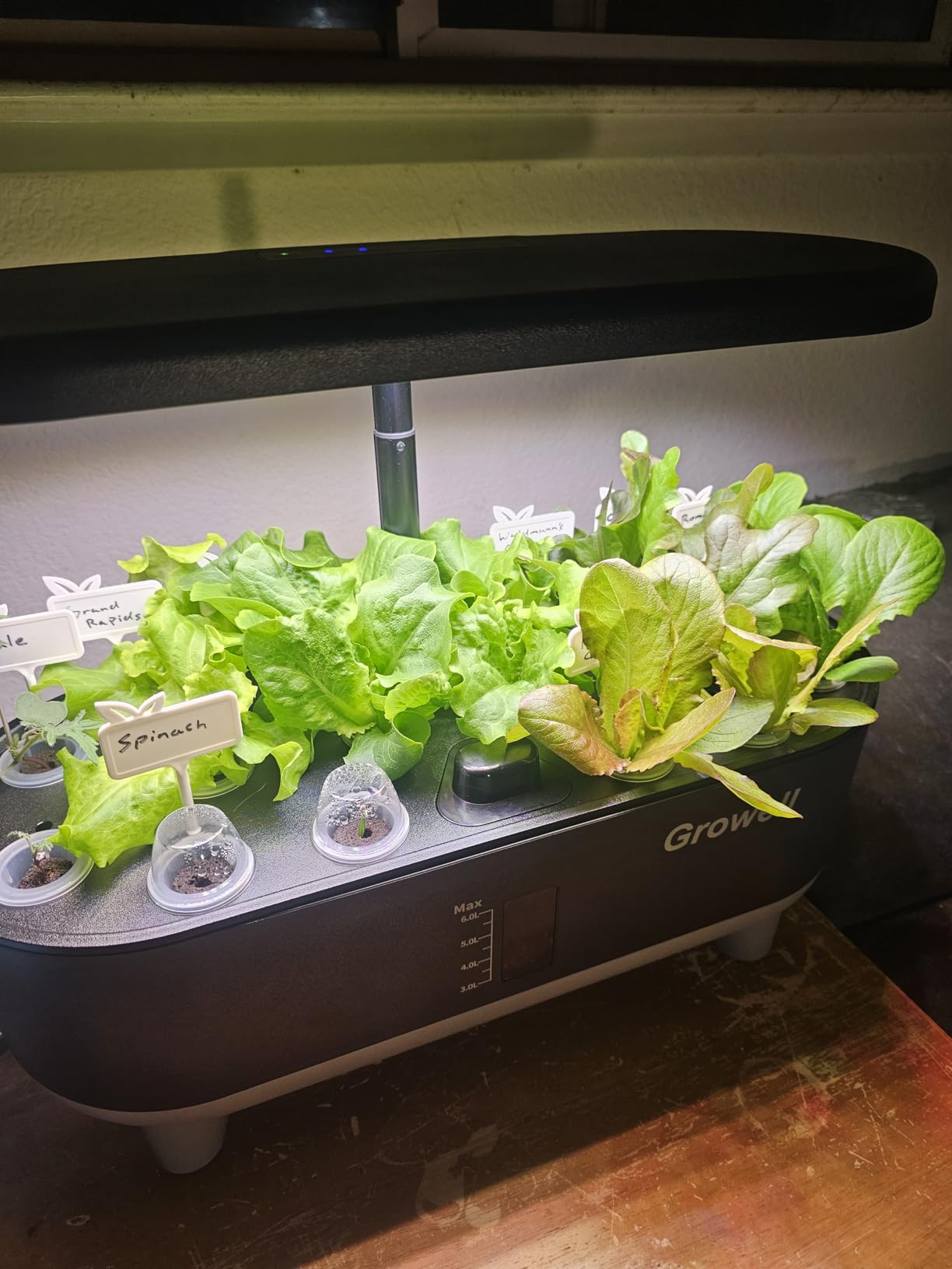 Growell Hydroponics Growing System Kit, 16 Pods Indoor Garden with 28W Full Spectrum LED Grow Light, Auto Timer, 3 Smart Light Modes, 8L Large Herb Garden customer photo 1