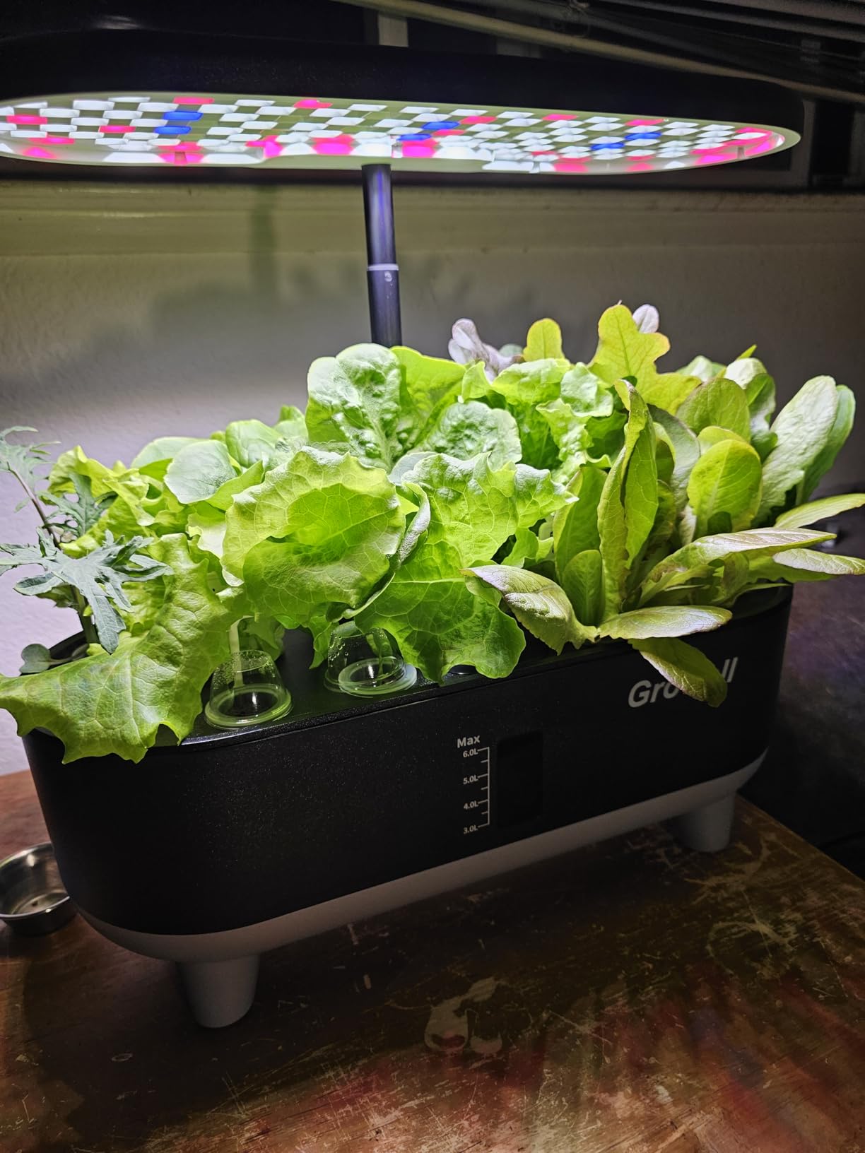 Growell Hydroponics Growing System Kit, 16 Pods Indoor Garden with 28W Full Spectrum LED Grow Light, Auto Timer, 3 Smart Light Modes, 8L Large Herb Garden customer photo 2