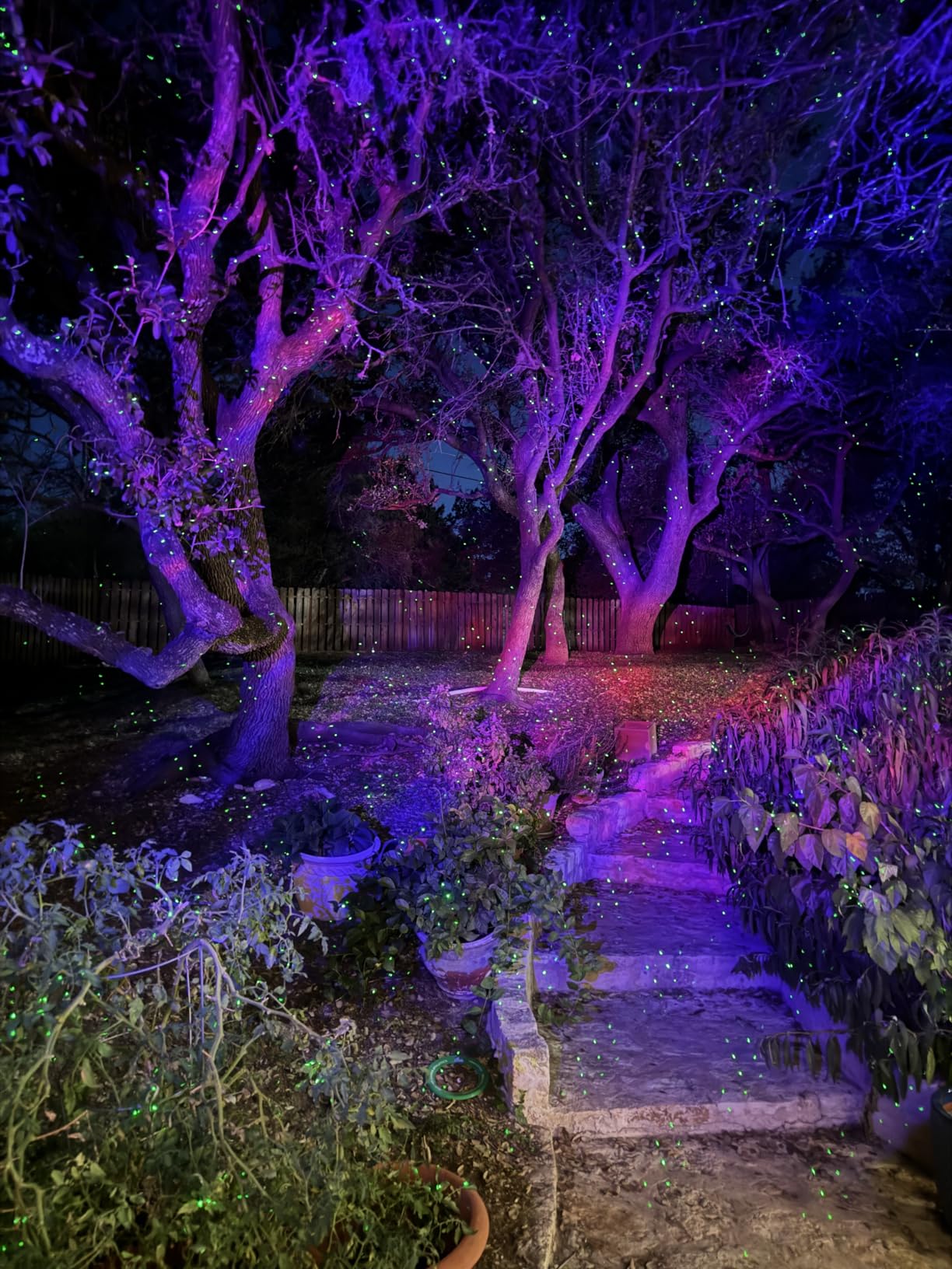 Outdoor Aurora Laser Light Projector - Firefly Starry Sky Landscape Spotlight with 60FT Waterproof Cord & Extra-Tall Stake, RF Remote, IP65 Yard Garden Patio Holiday Decor customer photo 1