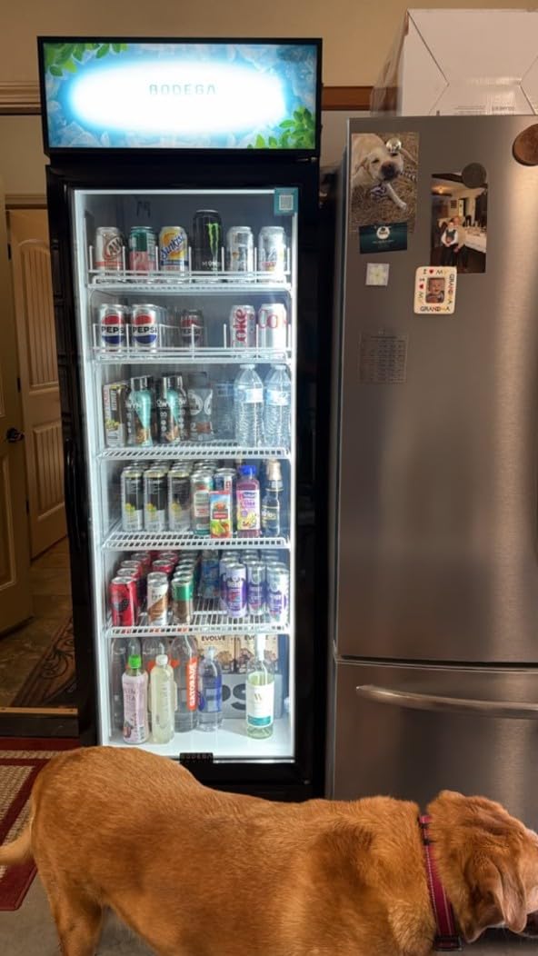 BODEGACOOLER Beverage Refrigerator, 12.5 Cu.Ft. Commercial Glass Door Fridge - Holds 420 Cans, Perfect for Game Day Watch Party & Summer BBQ, Drink Cooler for Home Bar, Patio, Garage, Man Cave customer photo 2
