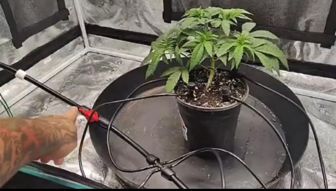 MARS HYDRO Auto Drip Irrigation Kits with 13 Gallon Foldable Bucket, 24W Upgraded Water Pump, 8 Drip Emitters, Garden Watering System for Grow Tent Indoor, Lawn, Greenhouse, Yard customer photo 1