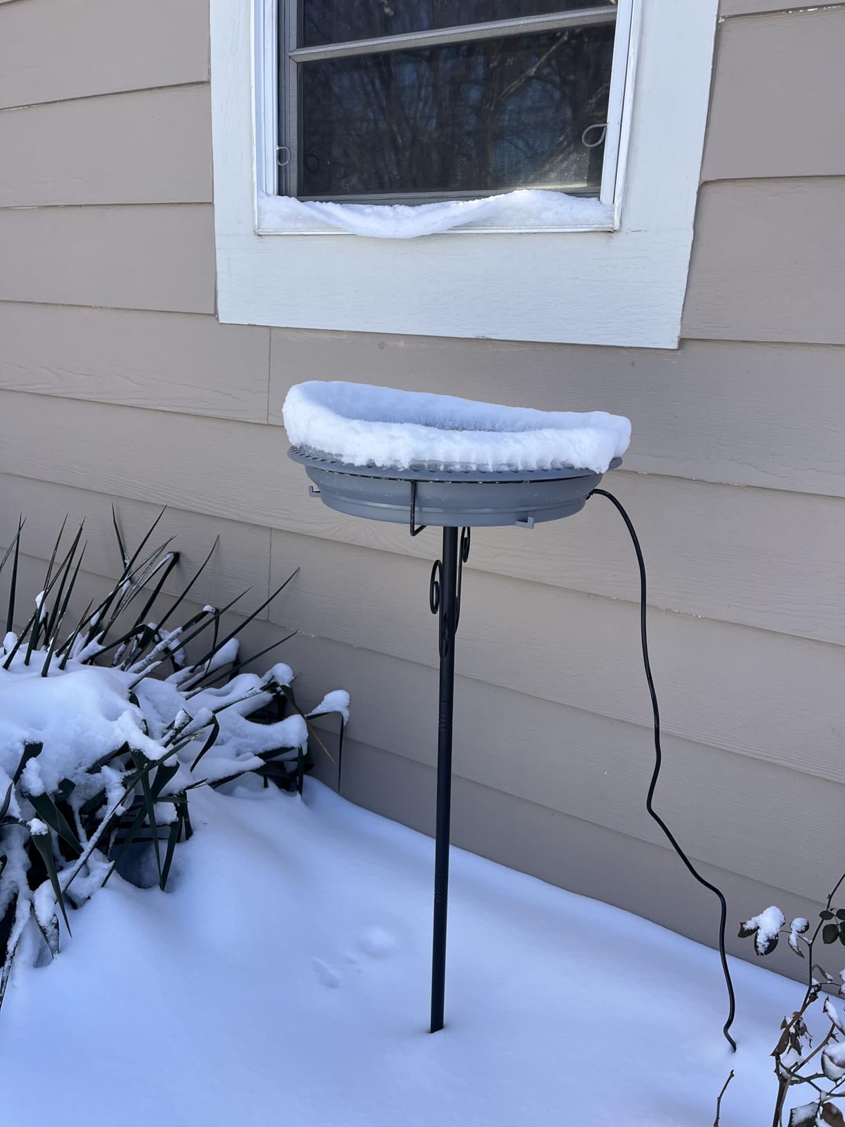 Heated Bird Bath, Lovppy 100W Thermostatically Controlled Heated Bird Baths for Outdoors Bird Bath Heater with Metal Stake, Heated Bird Bath for Outside Winter Garden Patio Yard Lawn (Green) customer photo 1