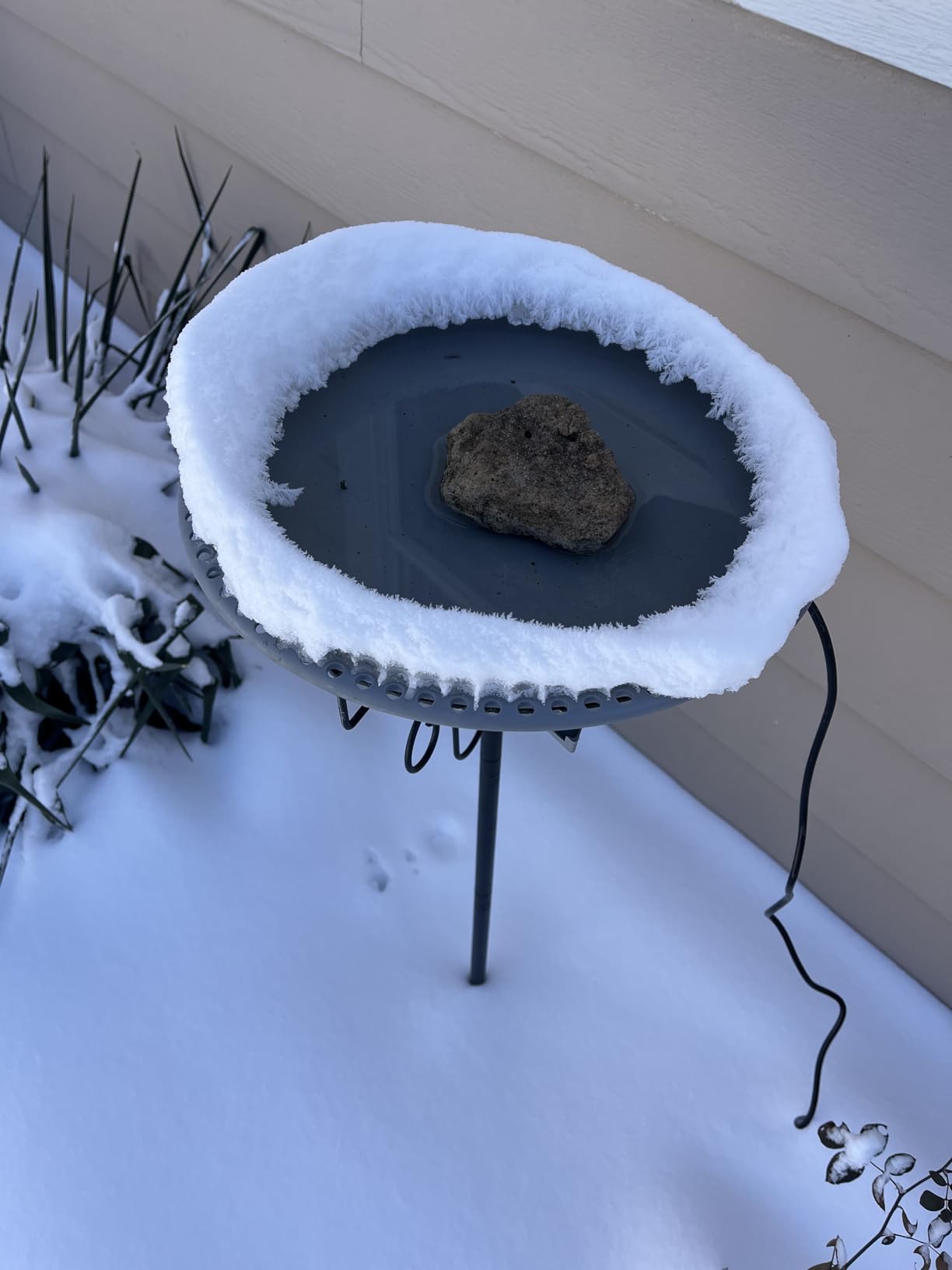 Heated Bird Bath, Lovppy 100W Thermostatically Controlled Heated Bird Baths for Outdoors Bird Bath Heater with Metal Stake, Heated Bird Bath for Outside Winter Garden Patio Yard Lawn (Green) customer photo 2