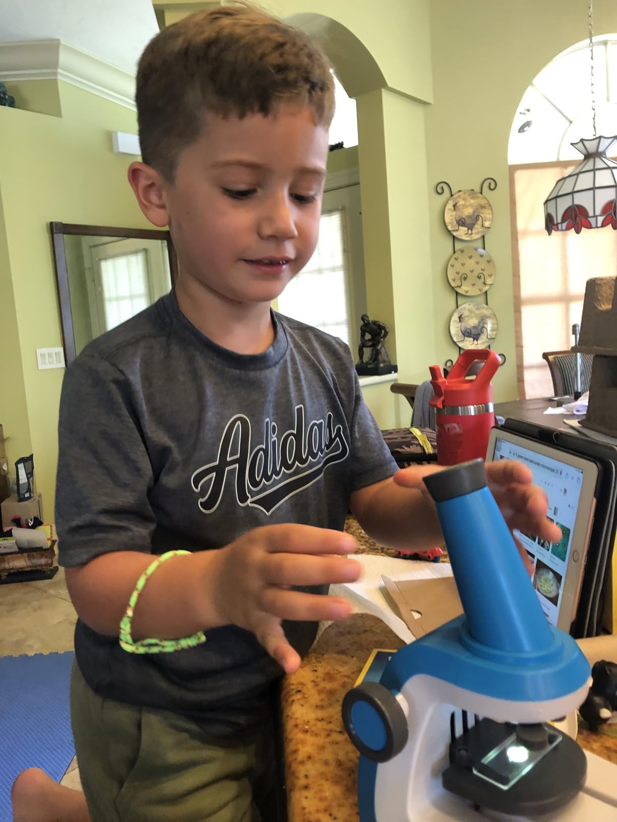 National Geographic Junior Microscope for Kids - Kit Includes Up to 250x Magnification Handheld Mini Attachment, 12 Slides, Lab Guide, Science Toy for Ages 6-12, STEM Project customer photo 1