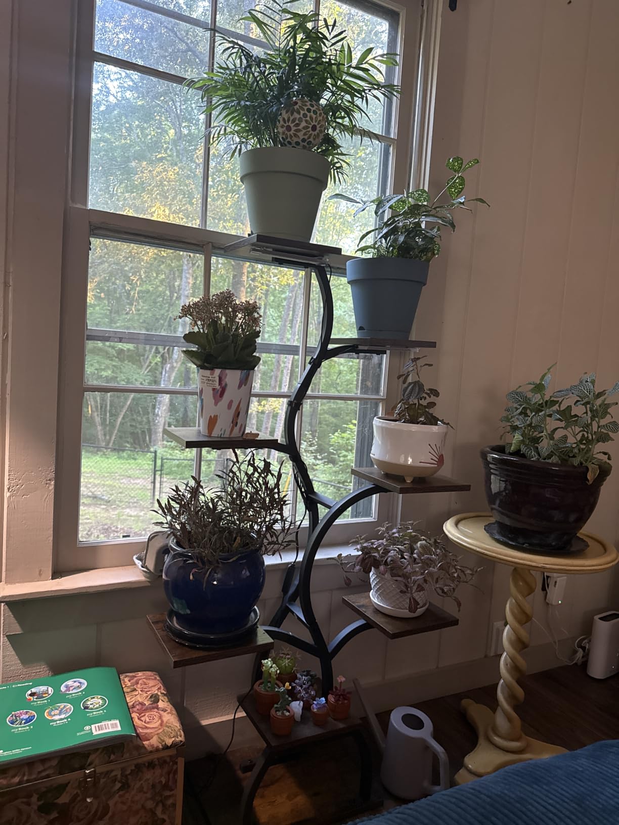 EVAWOO Plant Stand Indoor with Grow Light - 8 Tiered Plant Shelf Indoor, Corner Plant Stand, 49