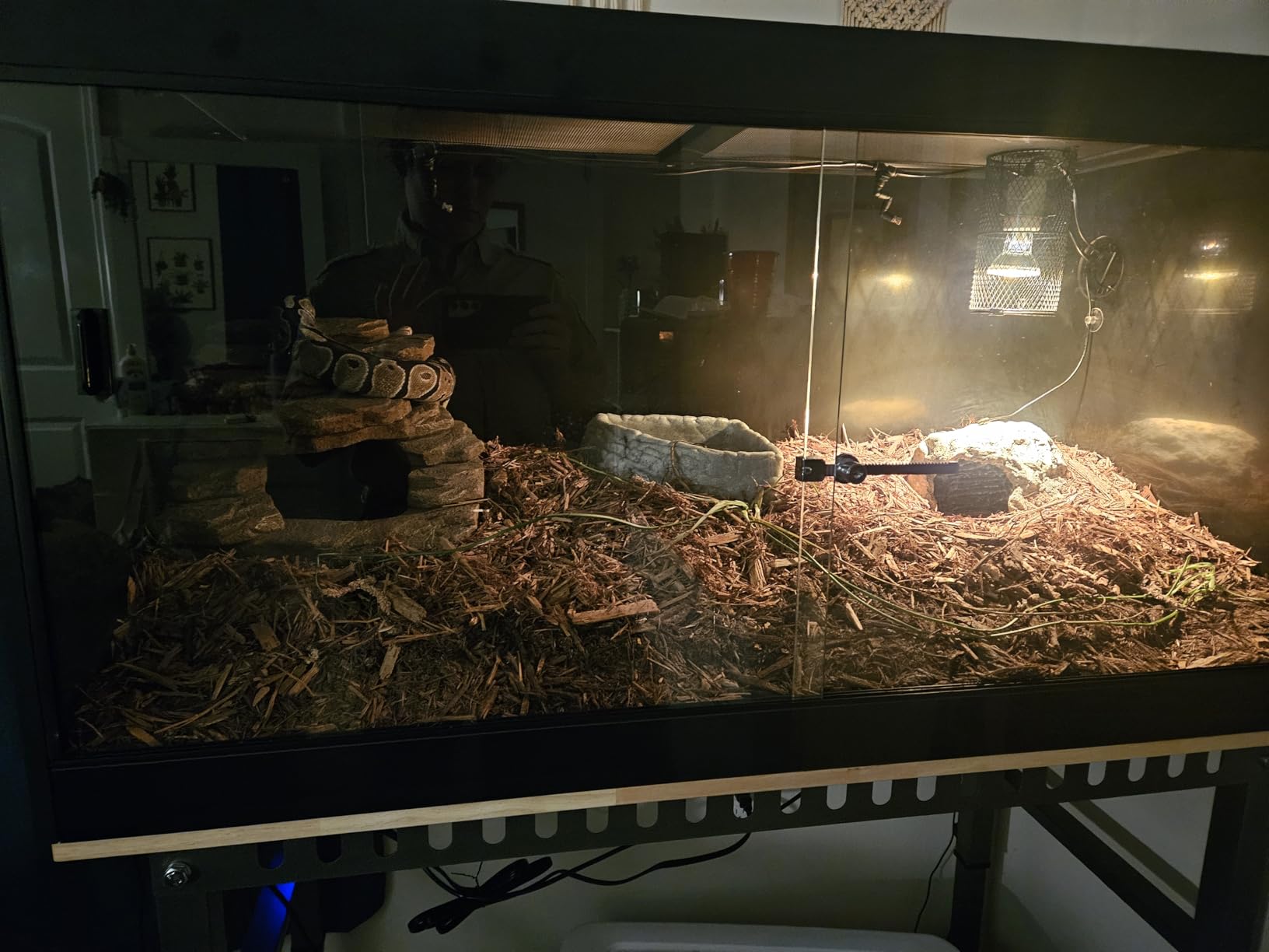 4x2x2 (120 Gallon) PVC Reptile Enclosure, RepWild Terrarium/Tank with Heavy-Duty Screen Top, Glass Sliding Doors & Lock for Bearded Dragons, Ball Python, Geckos, Lizards customer photo 2