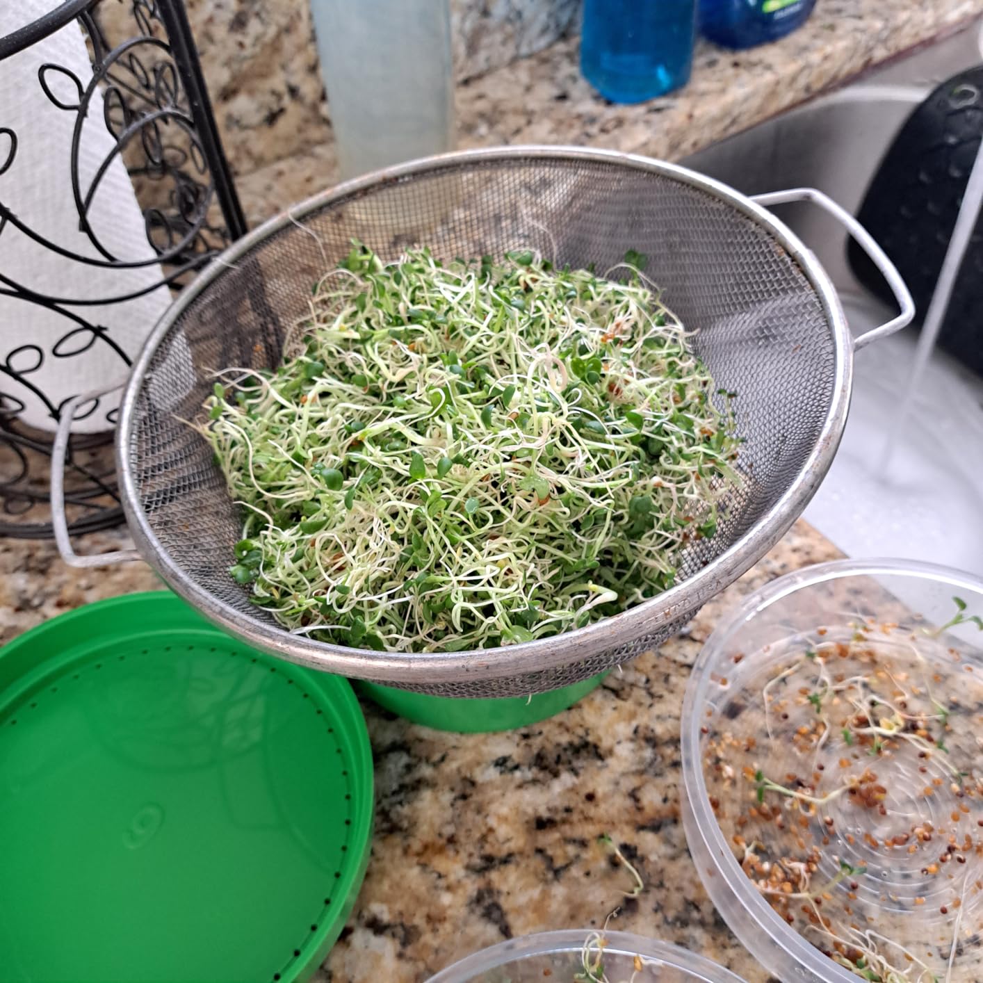AOMGD 4-Tier Microgreens Growing Seed Sprouting Tray | Indoor Soil-Free System, BPA Free Seed Germination Kit, For Salad Greens, Alfalfa & Broccoli customer photo 2