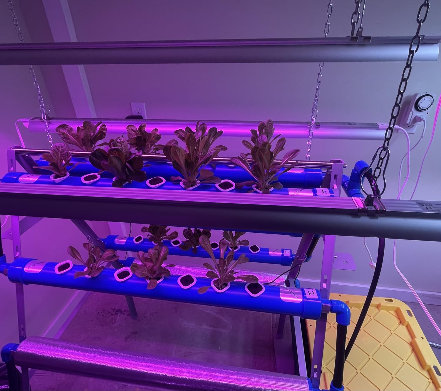 GENORTH A-Type Hydroponics Growing System Kit for Vegetables,Fruits and Herbs,72 Plant Sites and Food-Grade PVC-U Pipes,Suitable for Indoor and Outdoor customer photo 1