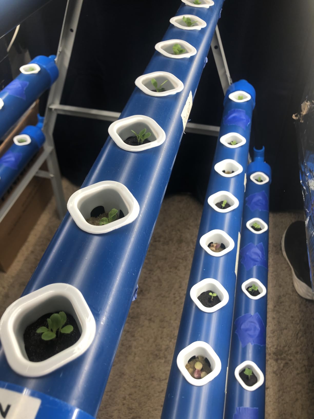 GENORTH A-Type Hydroponics Growing System Kit for Vegetables,Fruits and Herbs,72 Plant Sites and Food-Grade PVC-U Pipes,Suitable for Indoor and Outdoor customer photo 2