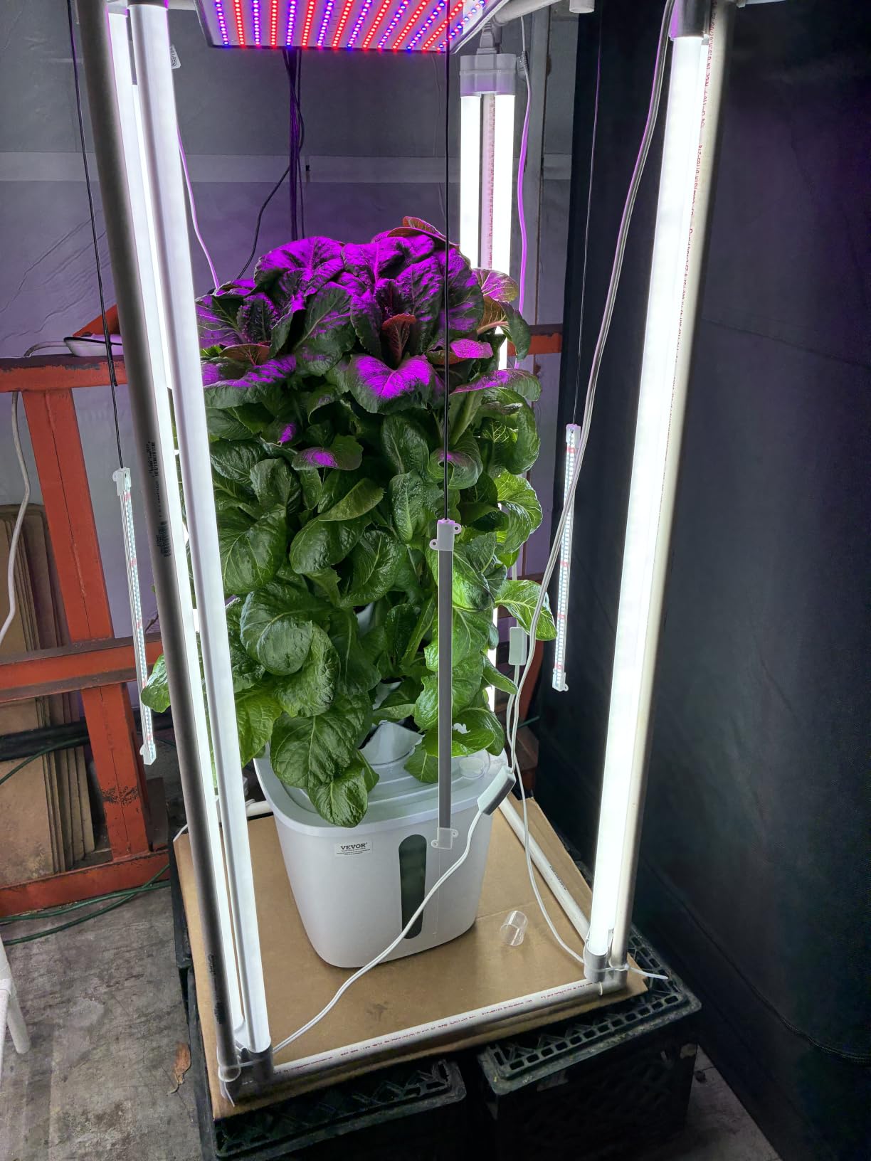 VEVOR Hydroponic Growing System, 30 Pods Vertical 6 Tiers Hydroponic Tower, Home Hydronic Garden with Water Pump & Timer, Water Circulation Plants Germination Kit for Indoor Herbs Fruits & Vegetables customer photo 1