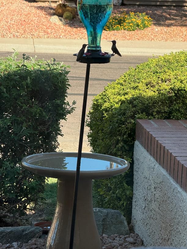 Sunnydaze Ceramic Bird Bath for Outside, Hand-Painted, 21