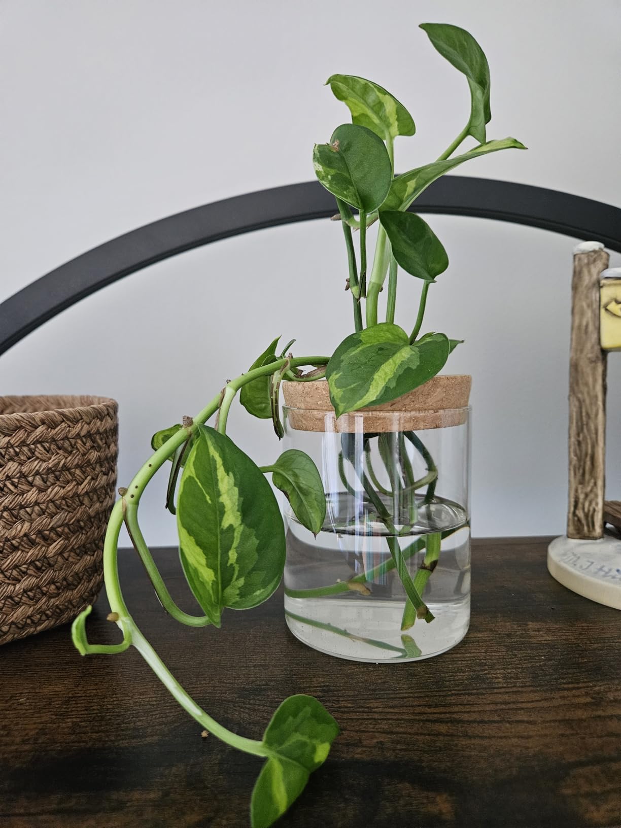Glass Plant Propagation Stations for Plants - Set of 4(2 Large & 2 Small) Hydroponic Vases for Plant Cuttings,Flower Arrangements, Home & Office Decor-Desktop Vases for Living Room, Bedroom customer photo 2