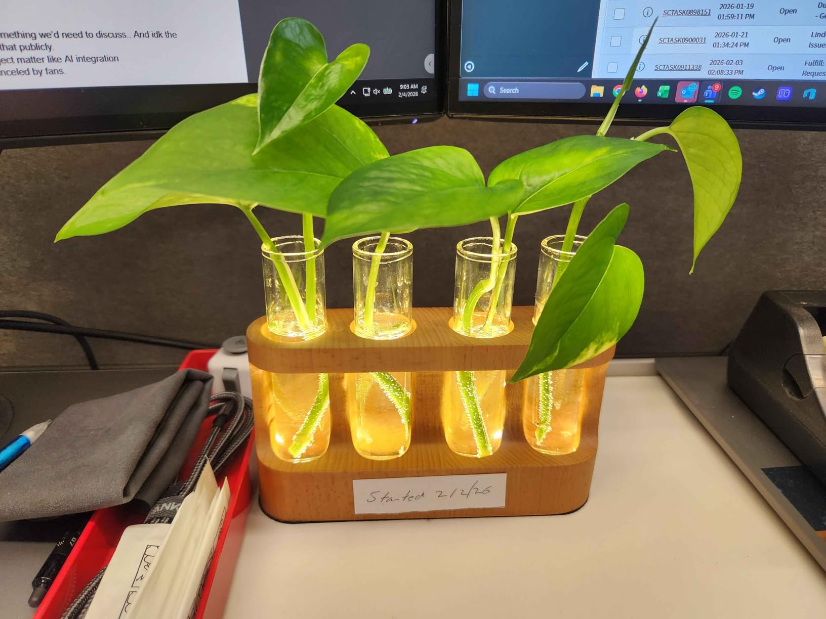 Plant Propagation Station with Wooden Stand, Gardening Gifts for Mom Women Plant Lovers, 9-Level Dimmable LED Light 4 Glass Test Tubes Vases for Hydroponic Plants - Desktop Terrarium for Desk Decor customer photo 1