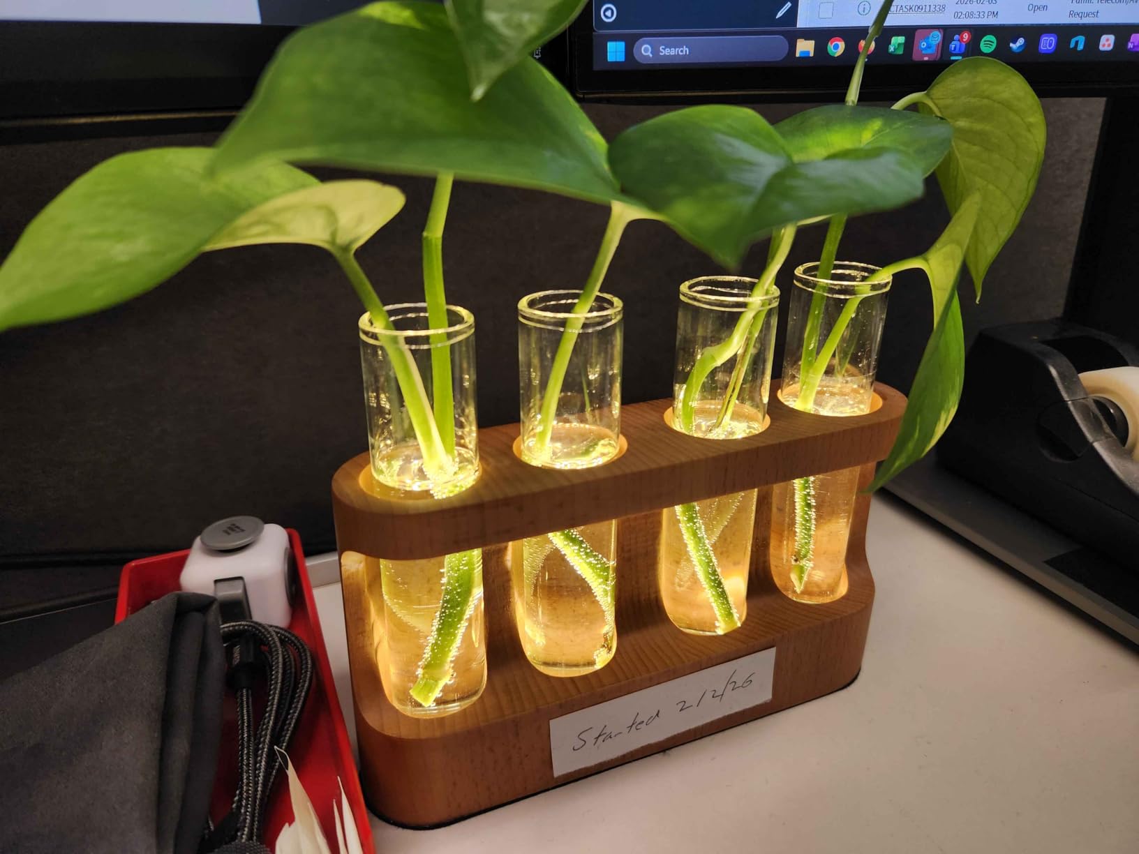 Plant Propagation Station with Wooden Stand, Gardening Gifts for Mom Women Plant Lovers, 9-Level Dimmable LED Light 4 Glass Test Tubes Vases for Hydroponic Plants - Desktop Terrarium for Desk Decor customer photo 2
