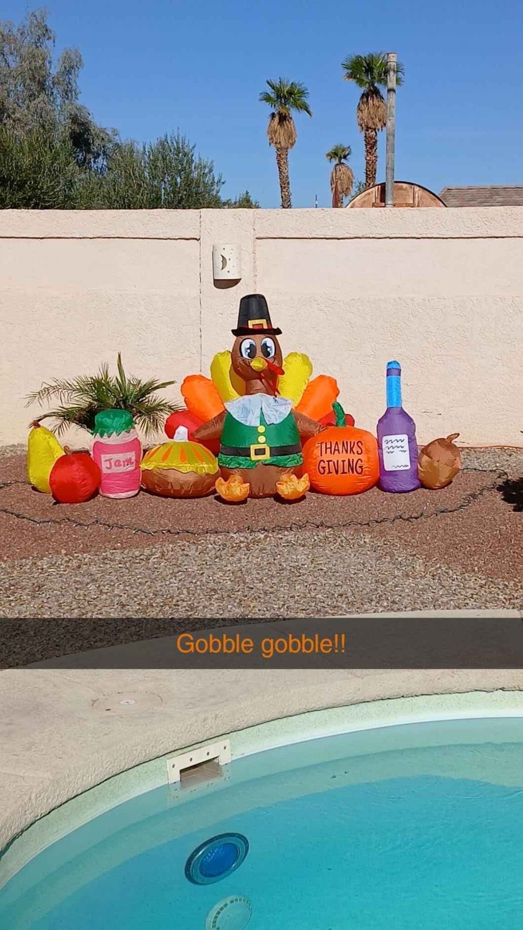 8FT Thanksgiving Inflatables Outdoor Decoration Inflatable Turkey Pumpkin, Built in LED Lights Blow Up Yard Decorations for Fall Holiday Party Garden Lawn Decor customer photo 2