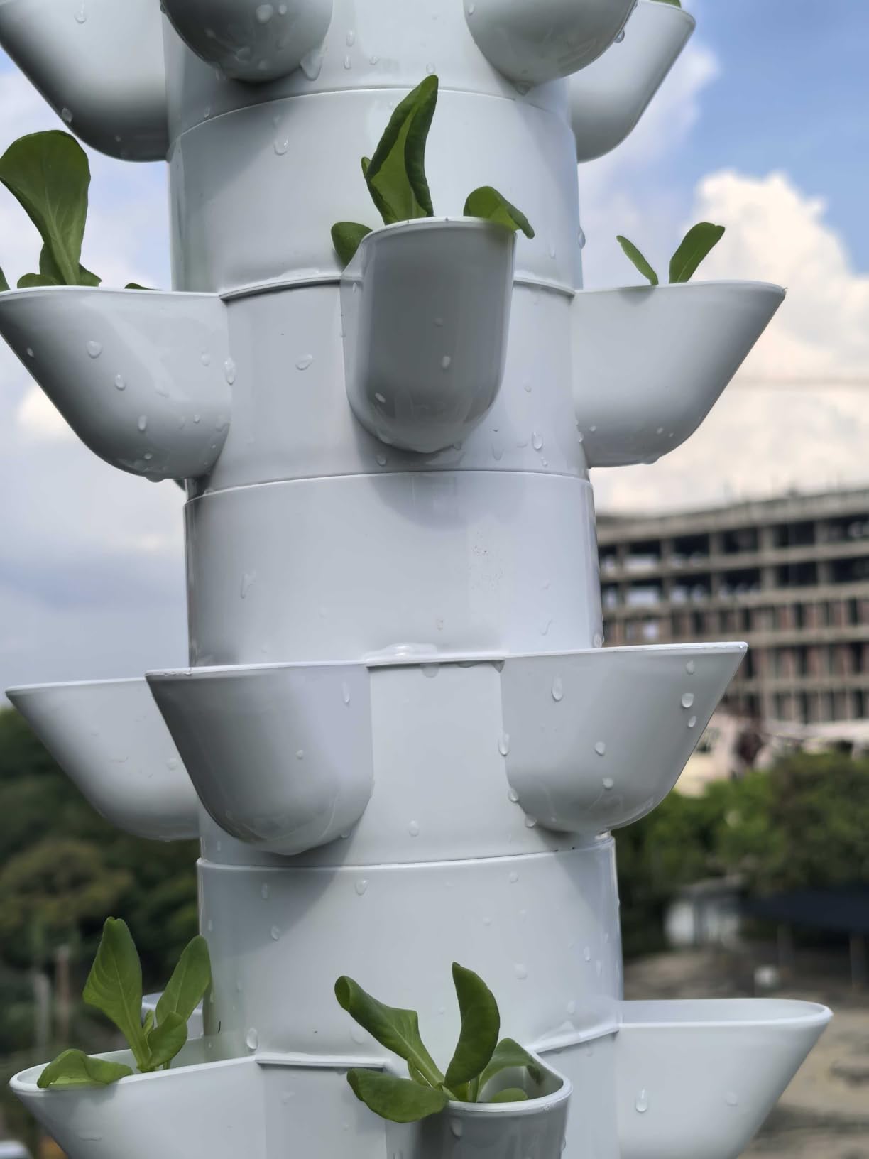 Hydroponics Growing System, 30-Plant Indoor Hydroponic Tower with Timer and Pump System, Plants Germination Kit, Vertical Hydroponic System for Gardening Lover (No Seed) customer photo 1