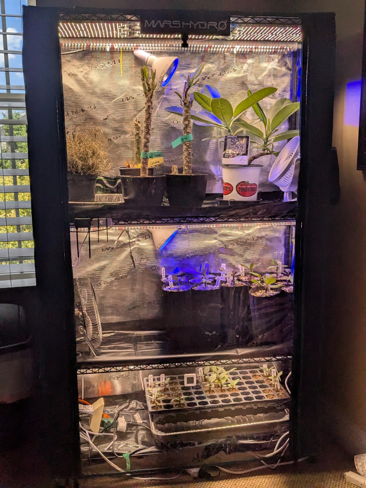 MARS HYDRO 2026 Plant Stand with Grow Lights, 6-Tier Plant Shelf with 10 Full Spectrum LED Lamps (225W, 3ft) & Grow Tent | for Vegetables, Seedlings, Plant Growth | 5000K, 43x16x71'' customer photo 1
