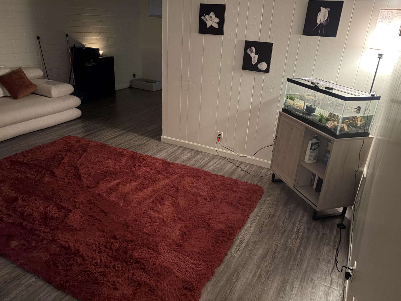 Amdrebio Burnt Orange Area Rugs for Living Room Bedroom, 6x9 Shaggy Furry Fuzzy Fluffy Rug for Kids Room Decor Aesthetic, Large Cute Plush Shag Dark Orange Carpet for Nursery Dorm Classroom Playroom customer photo 2