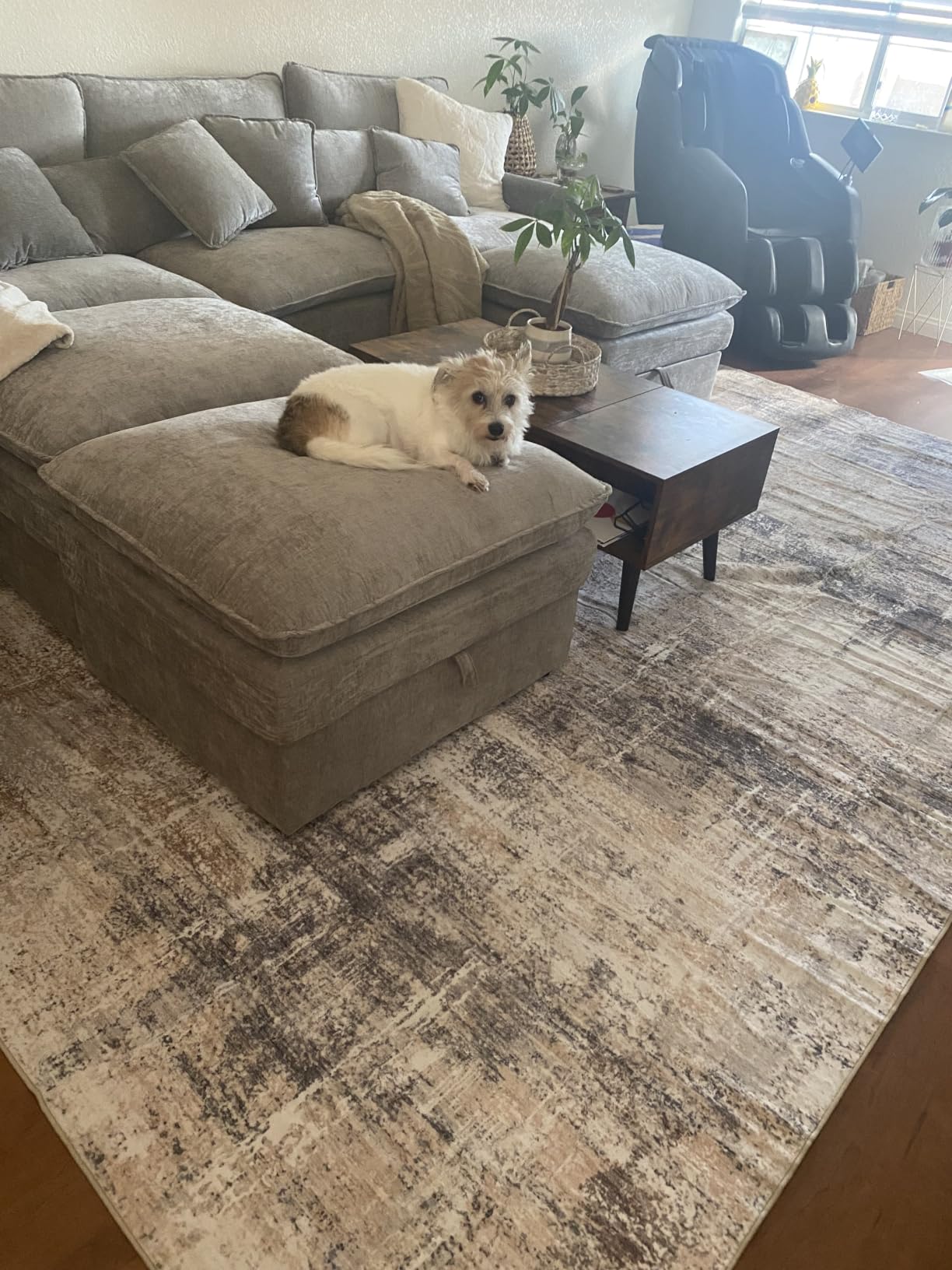 8x10 Area Rug for Living Room, Abstract Washable Non-Slip Large Rugs, Gold | Soft Neutral Carpet for Bedroom, Dining Room, Home Office Nursery Indoor, Stain Resistant, Low Pile, Foldable Modern Rug customer photo 1