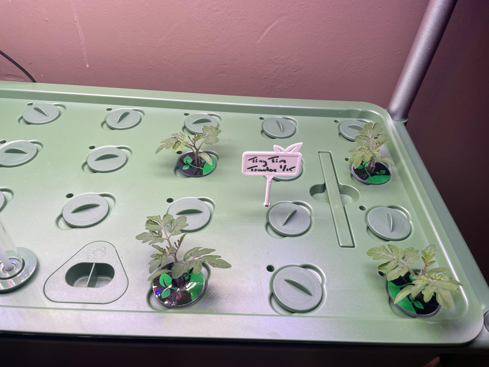 Growell Hydroponics Growing System Kit, 81 Pods Vertical Indoor Herb Garden with Smart LED Grow Light, Auto Circulating Water Pump Each Tier, 42L Hydroponic Gardening Systems for Ideal Gifts (Black) customer photo 2