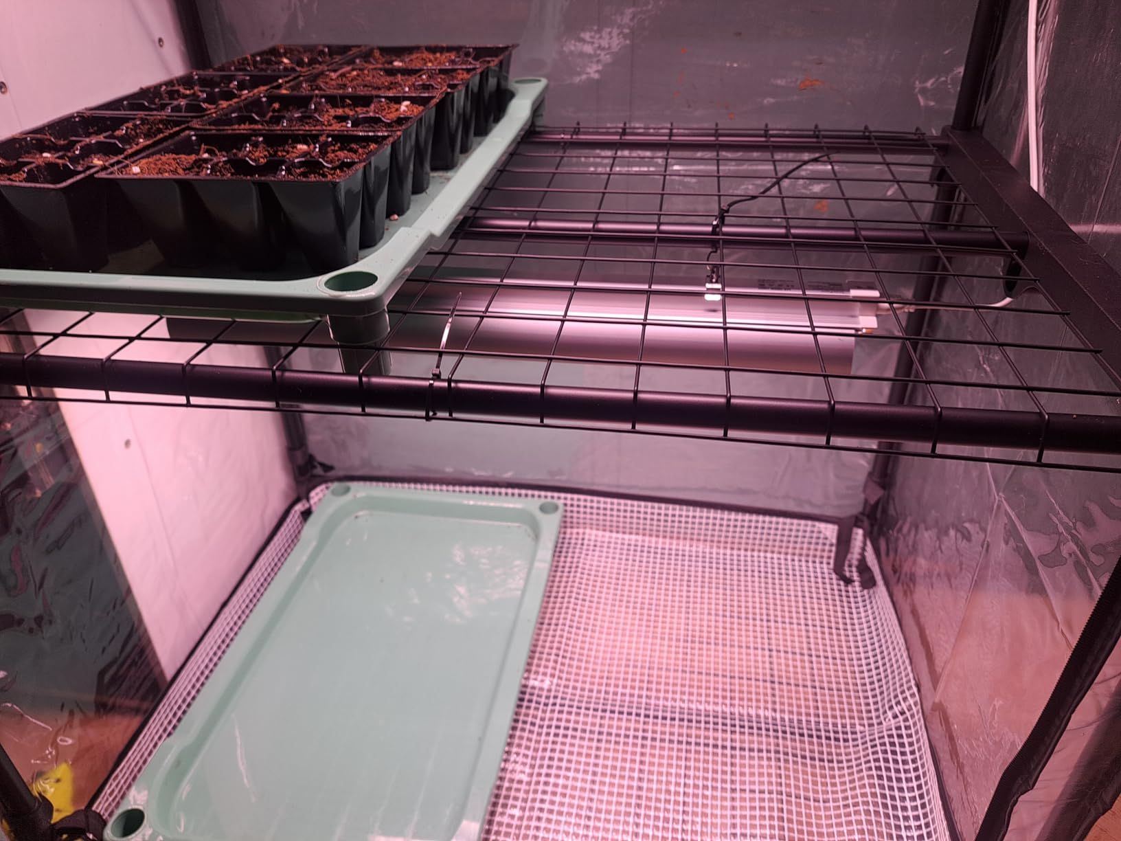 Indoor Greenhouse with Grow Light, 4-Tier Plant Shelf with T5 1.6FT 32W Full Spectrum LED Grow Light for Seed Starting, Succulent, Settable Timer Socket, 39