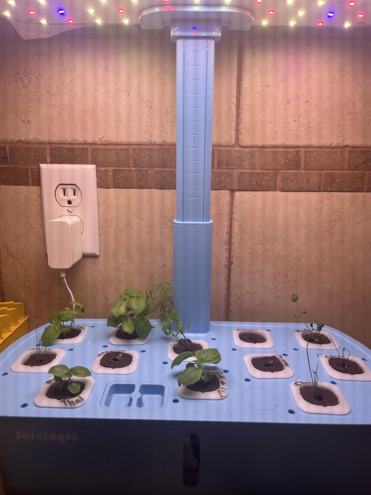 Sainlogic Hydroponics Growing System, 12 Pods Indoor Garden 24W Adjustable-Height LED Grow Light, APP & WiFi Smart Planter, Quiet Pump, Auto Timer, for Herbs Vegetables Flowers customer photo 1