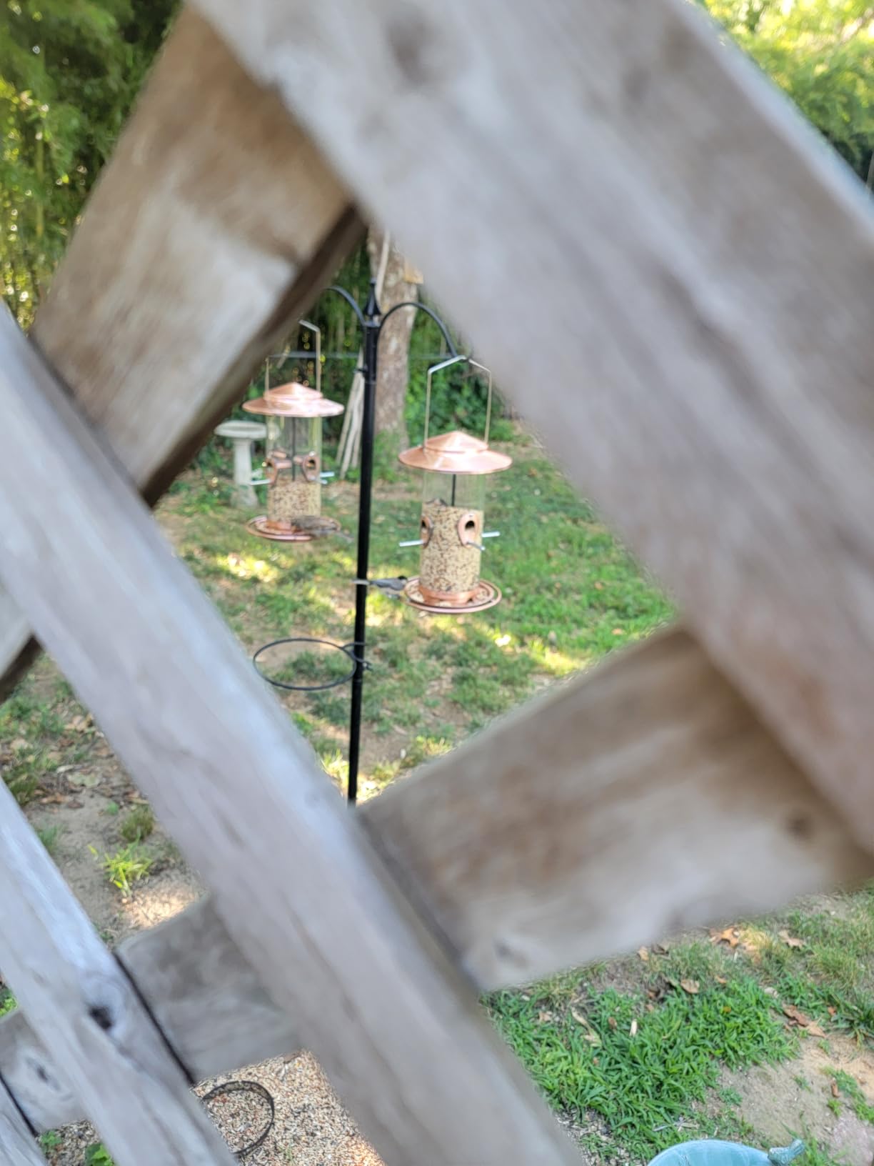 Bird feeders for Outdoors Metal Chew Resistant Brushed Copper, 1PK | Metal Roof, Metal Tray, Fixed Hanger, Flip-Top Fill, 3 Perches, Easy-Clean, 1.32lb customer photo 1