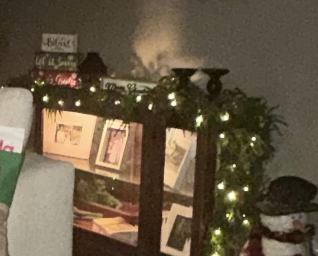 Christmas Garland with Lights for Mantle - 9FT Norfolk Pine Garland Pre-Lit Battery Operated Garlands, Real Touch Artificial Faux Greenery Garland for Fireplace, Table, Stairs & Christmas Decorations customer photo 2