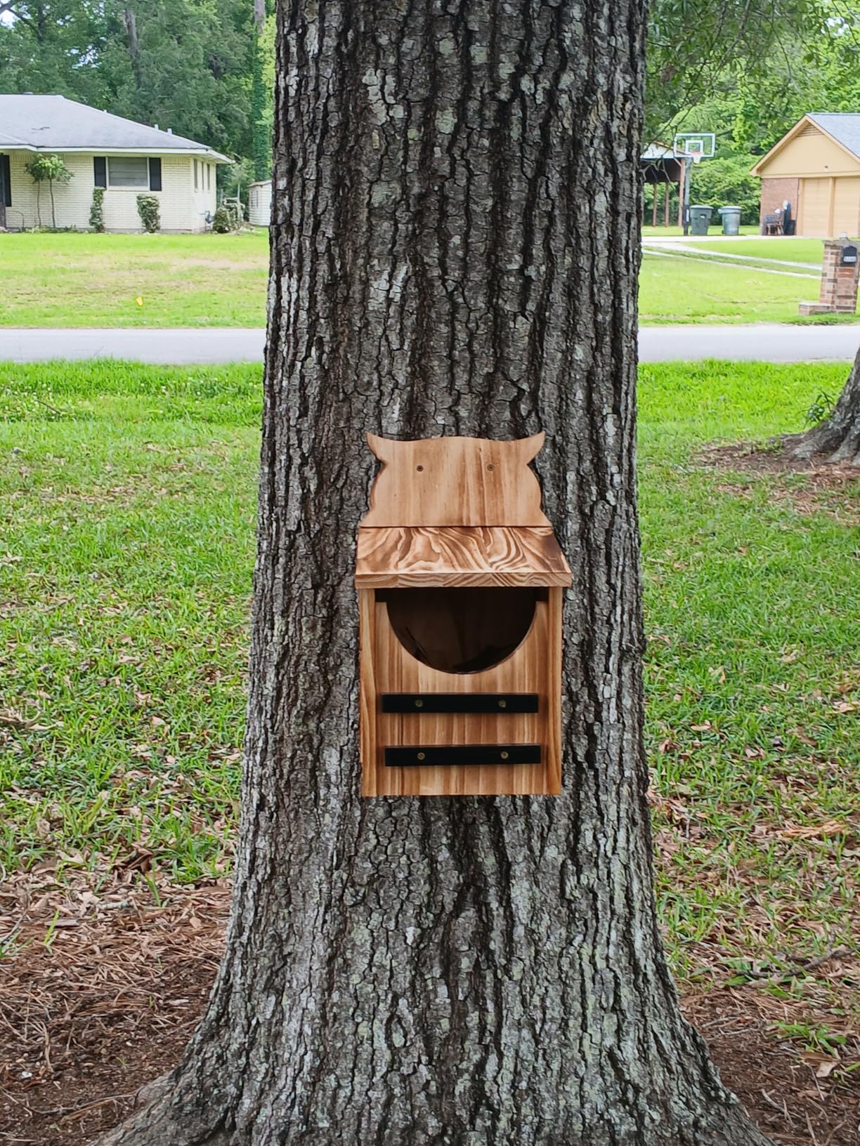 Owl House for Outdoors, Cedar Owl Nesting Box, Large Bird House | Durable Carbonized Wood Shelter for Wildlife, Birds, Owls, Ideal Garden Decor, Gift for Bird Lover (Assembly Required) customer photo 1